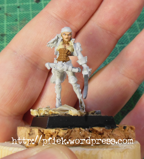 Freebooter's Fate, Pirate, Work In Progress