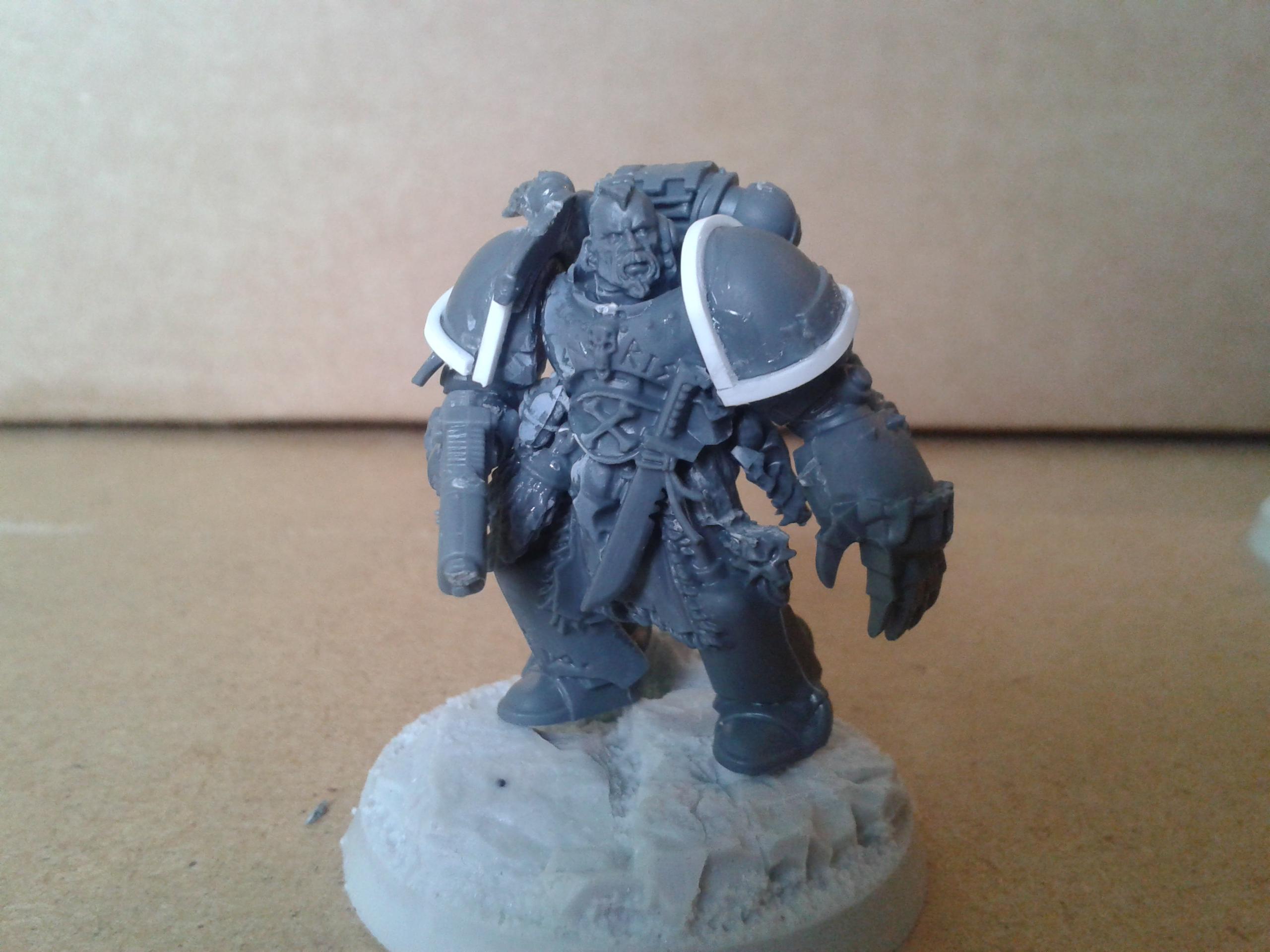 TS space wolf