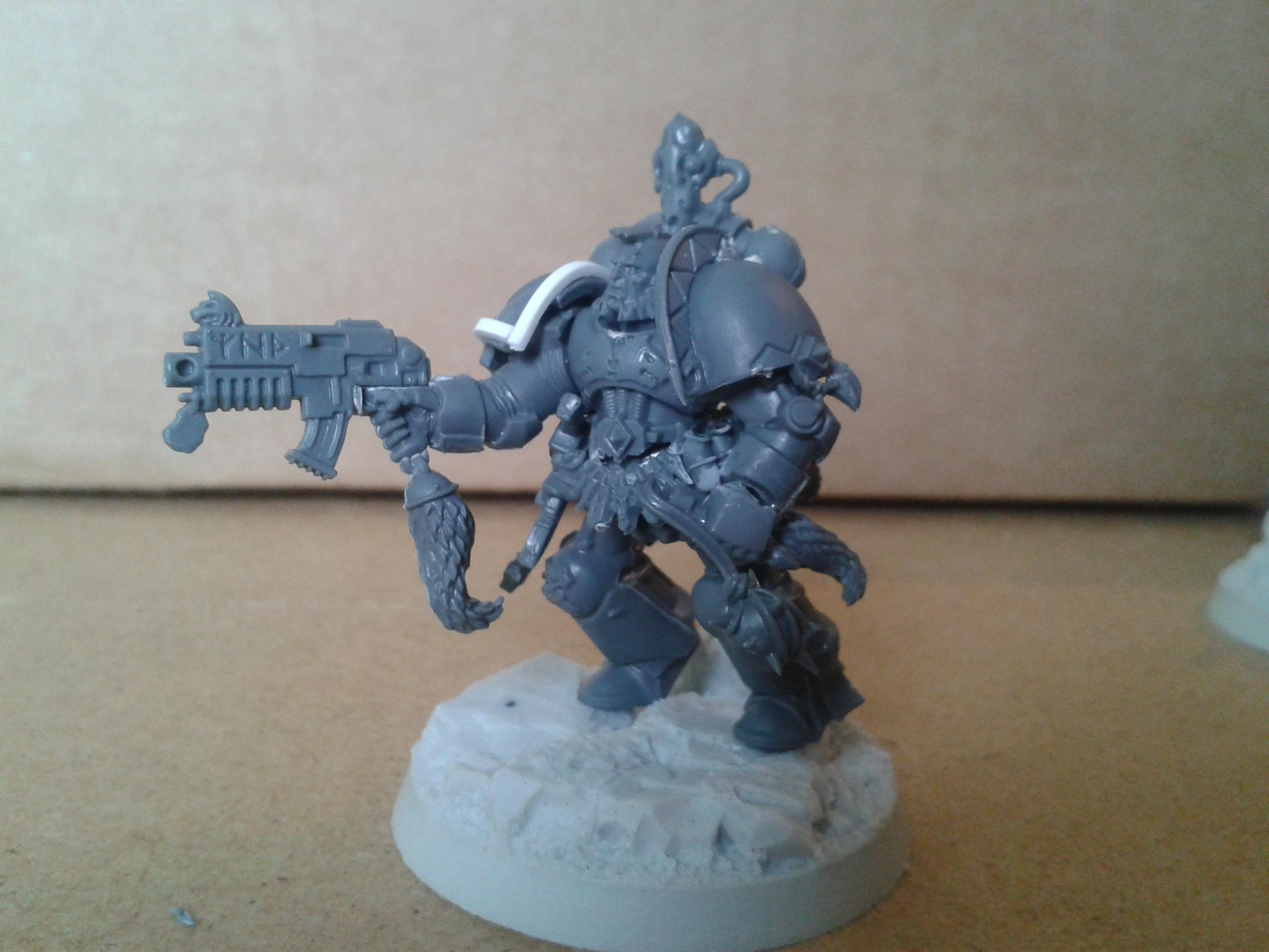 TsS space  wolf