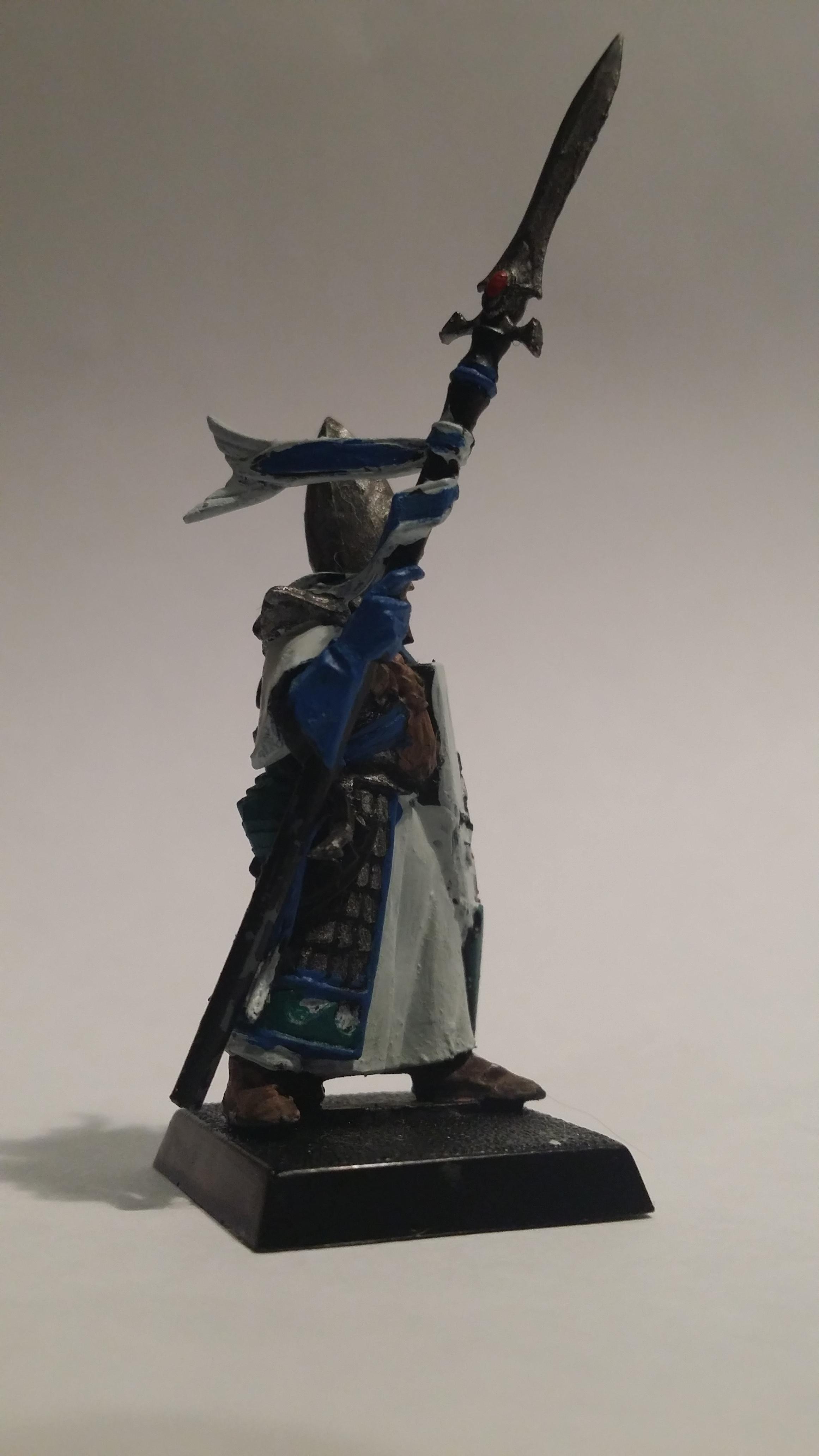 High Elf Sea Guard