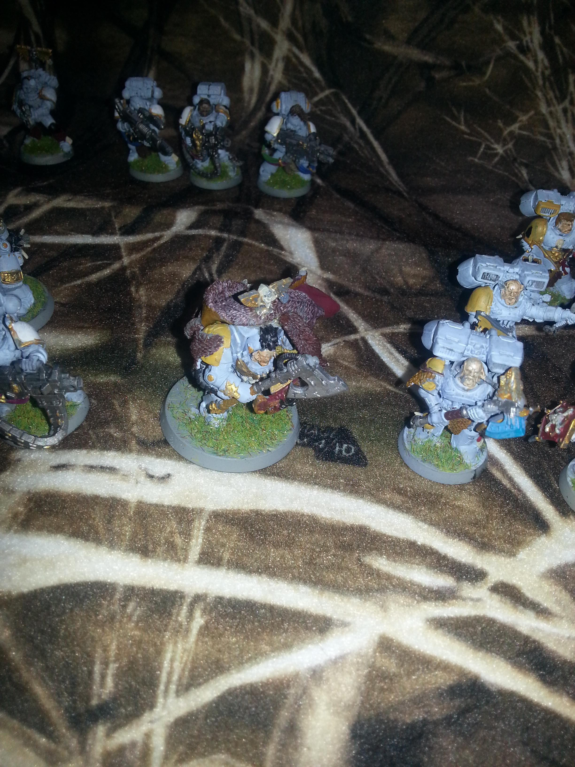 Space Marines, Space Wolves