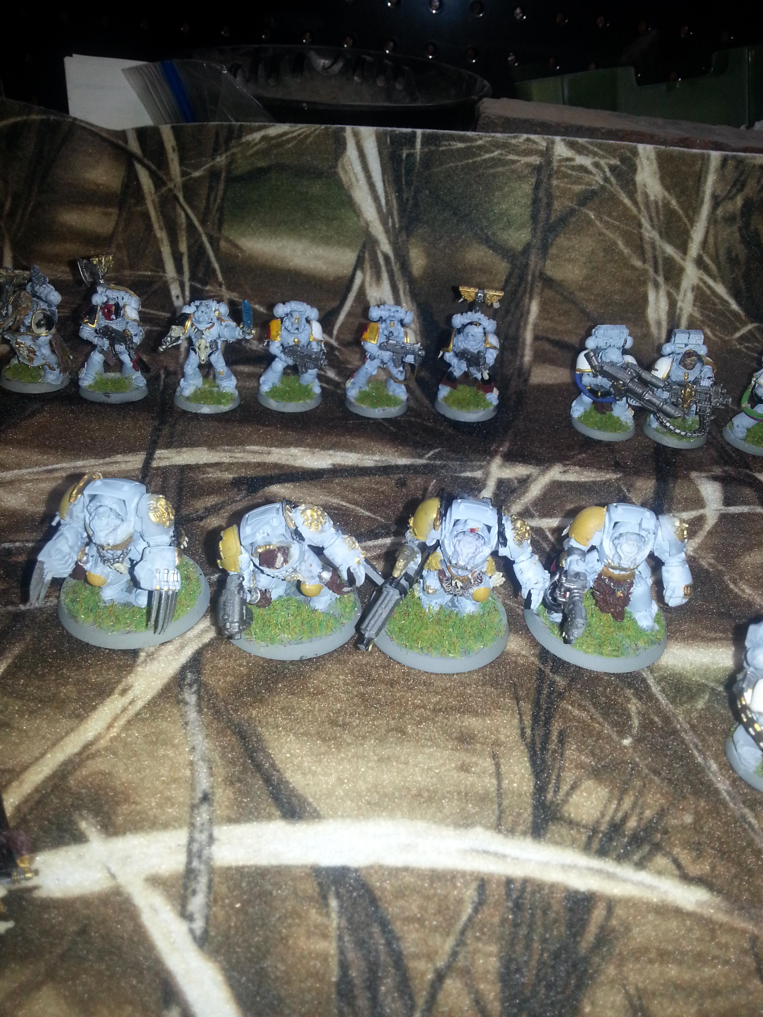 Space Marines, Space Wolves