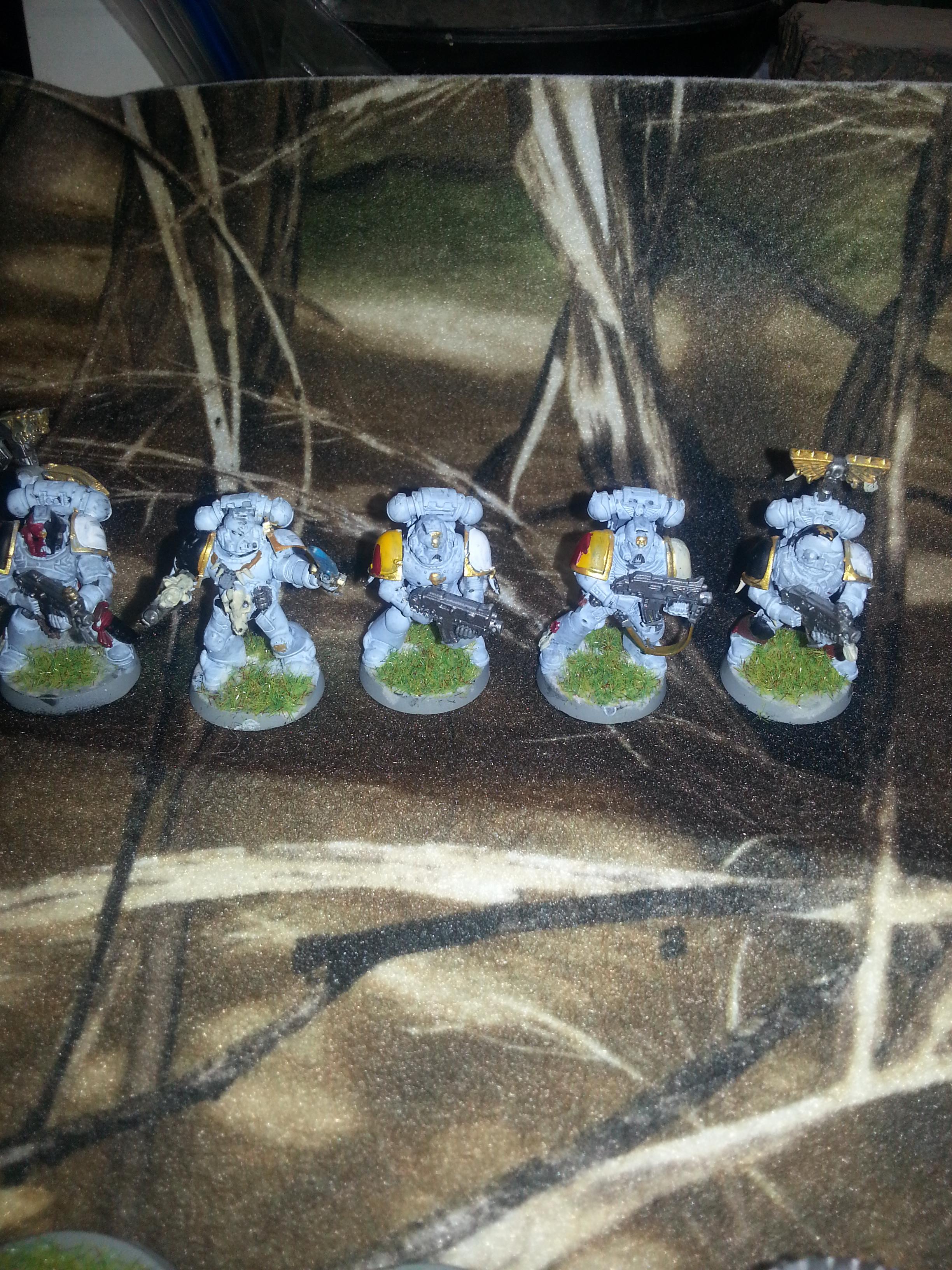 Space Marines, Space Wolves
