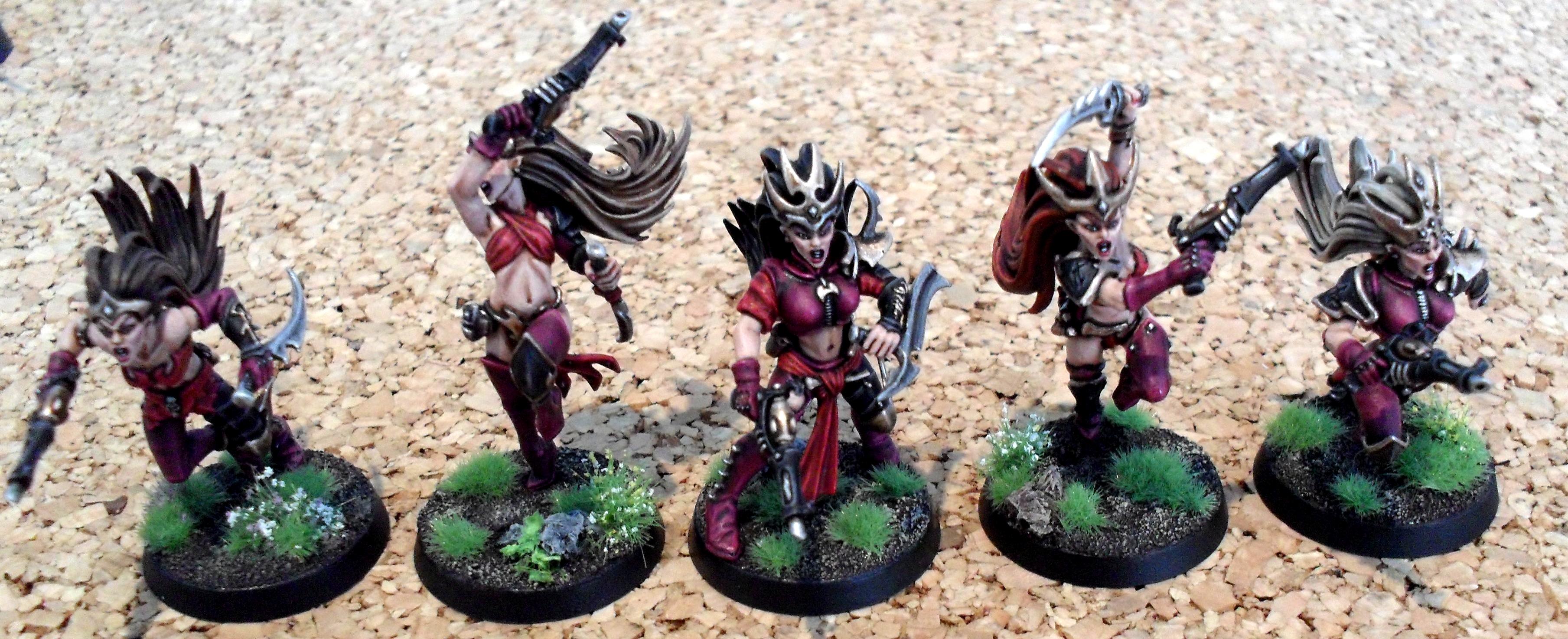 Dark Eldar, Dying Rose, Kit Bashed, Witch Elves, Wyches
