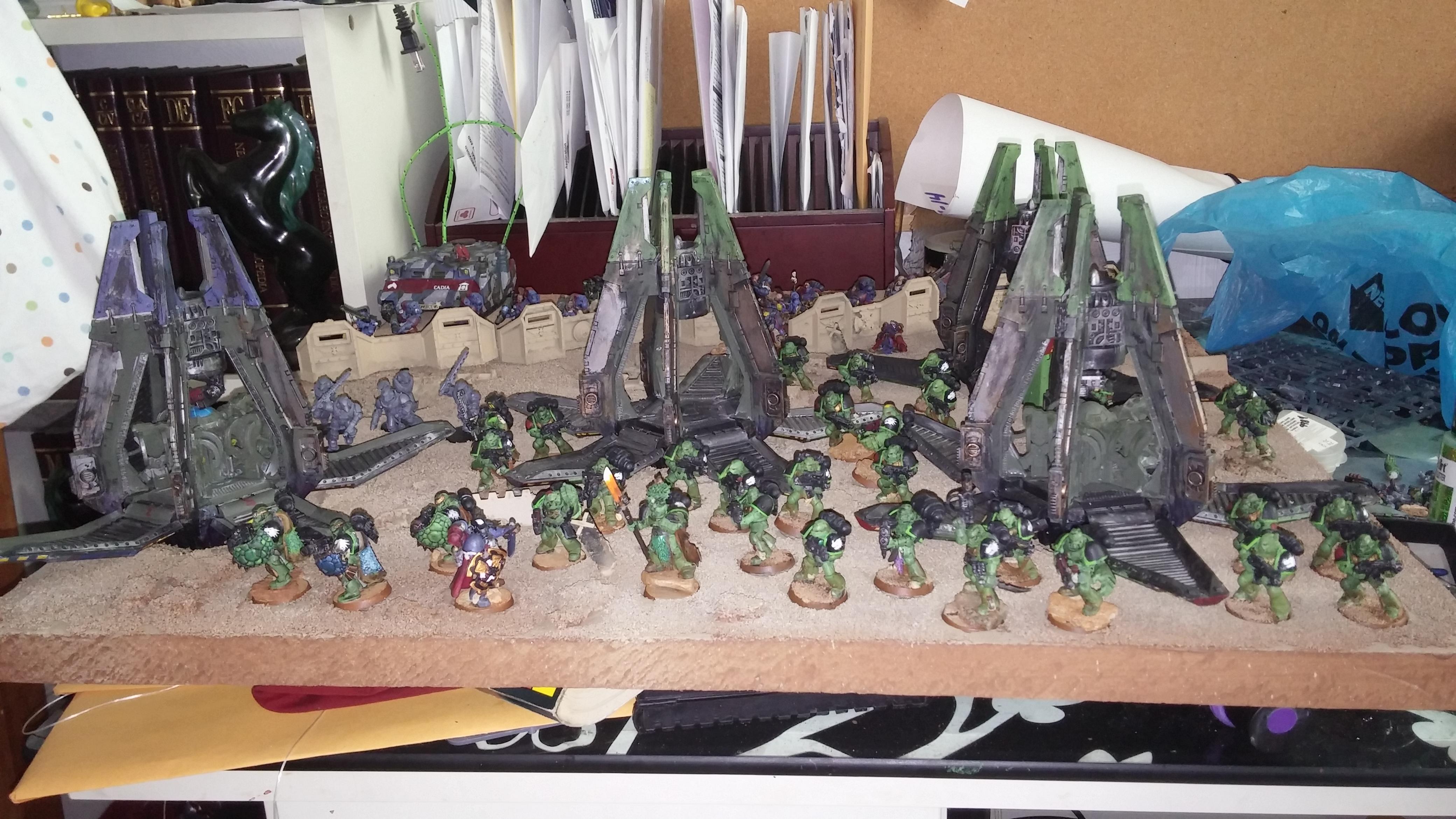 Armies On Parade, Display Board, Salamanders