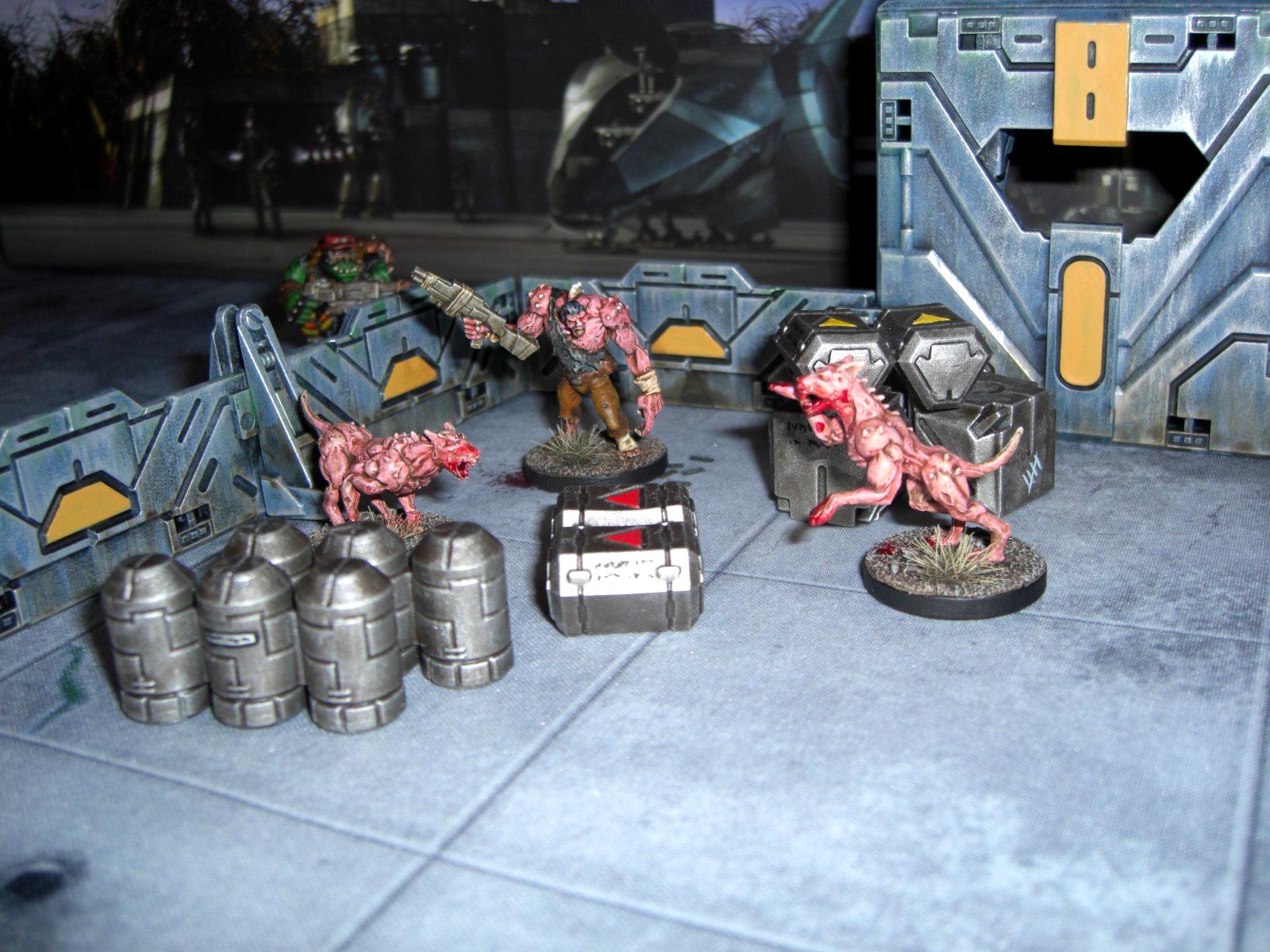 Deadzone, Plague, Terrain