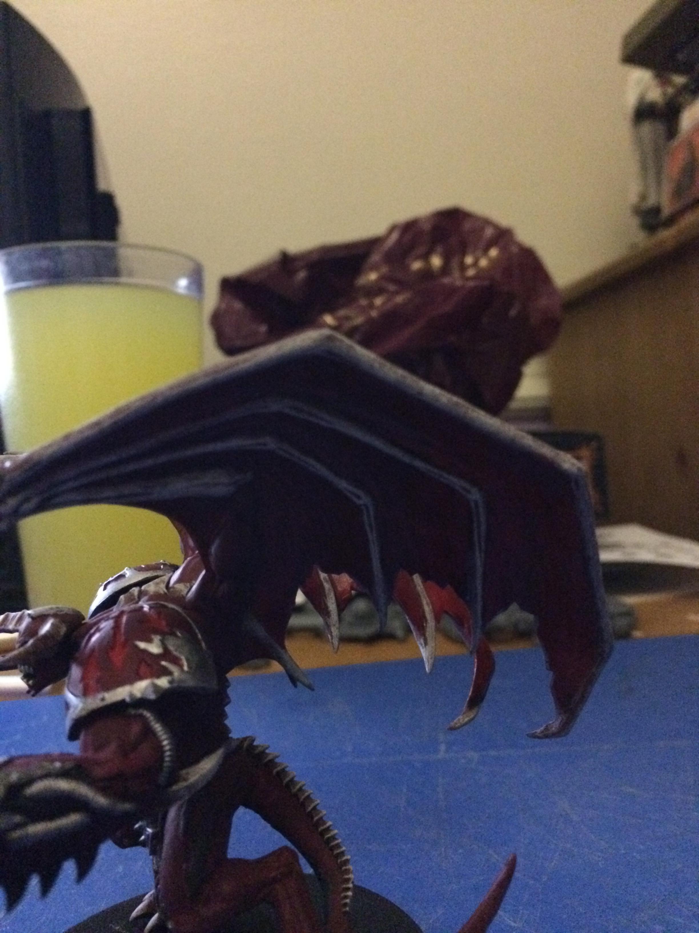 Wings Of Gore Shred Under Left Wing