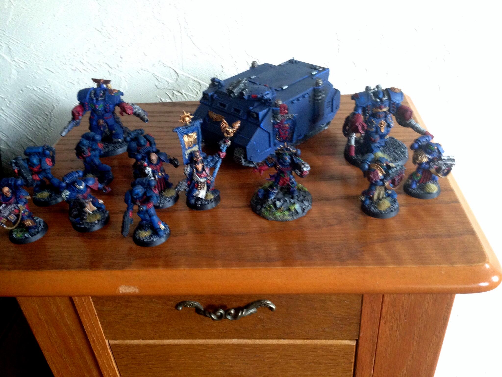 Crimson Fist, Rhino, Veteran