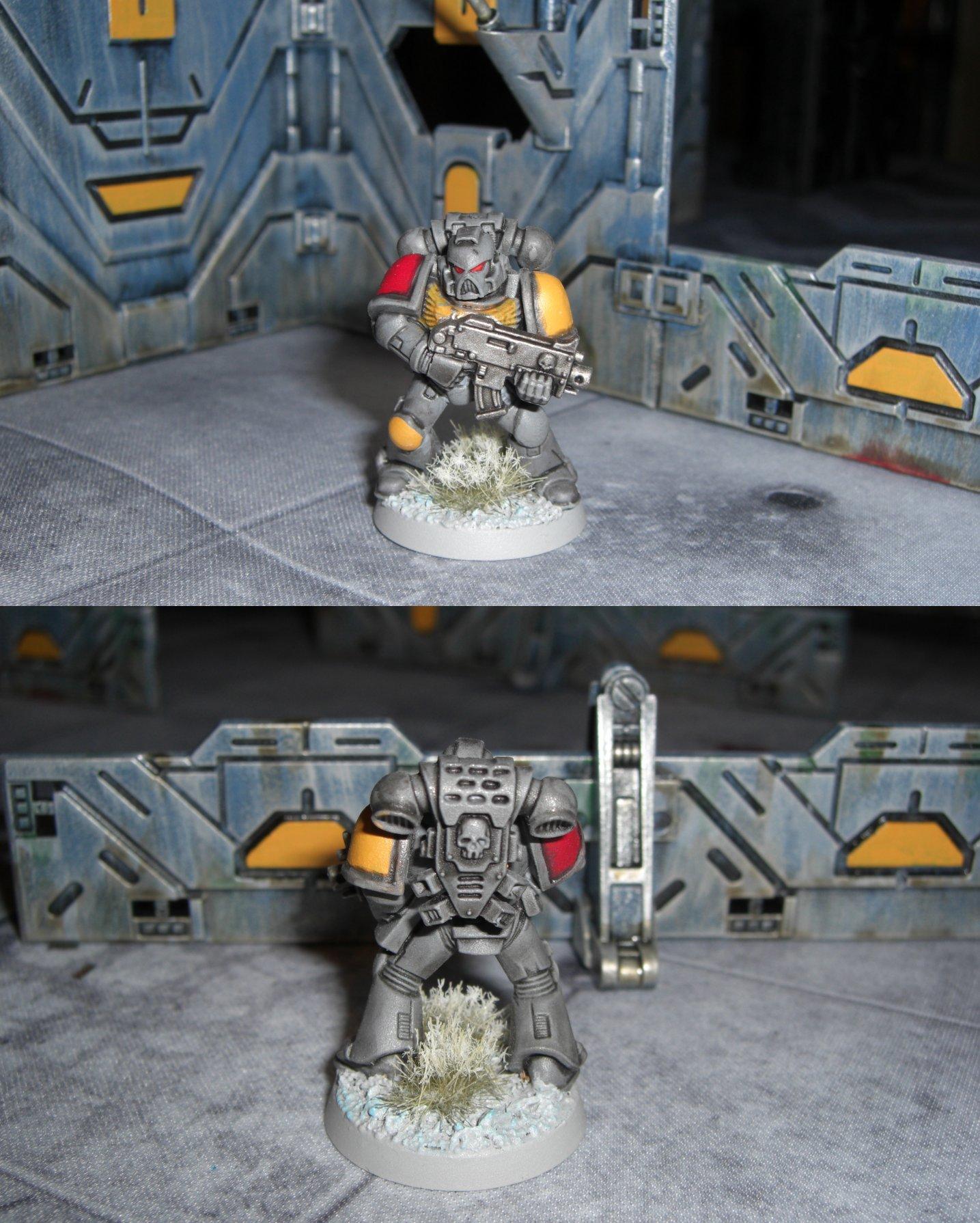 Painting Kids, Space, Space Marines, Wolf