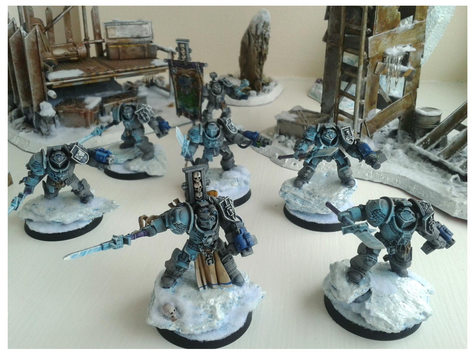 Grey Knights, Paladins, Terminator Armor