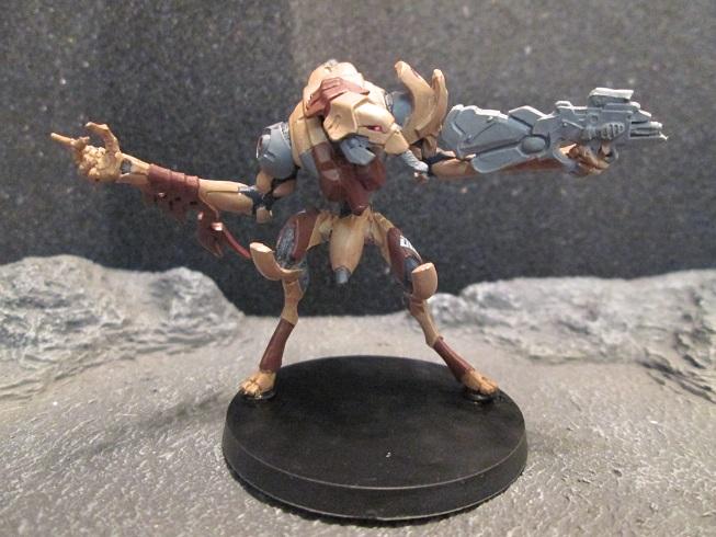 Infinity, Shasvastii, Sphinx, Tag