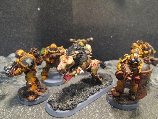 Plague Dog Warband
