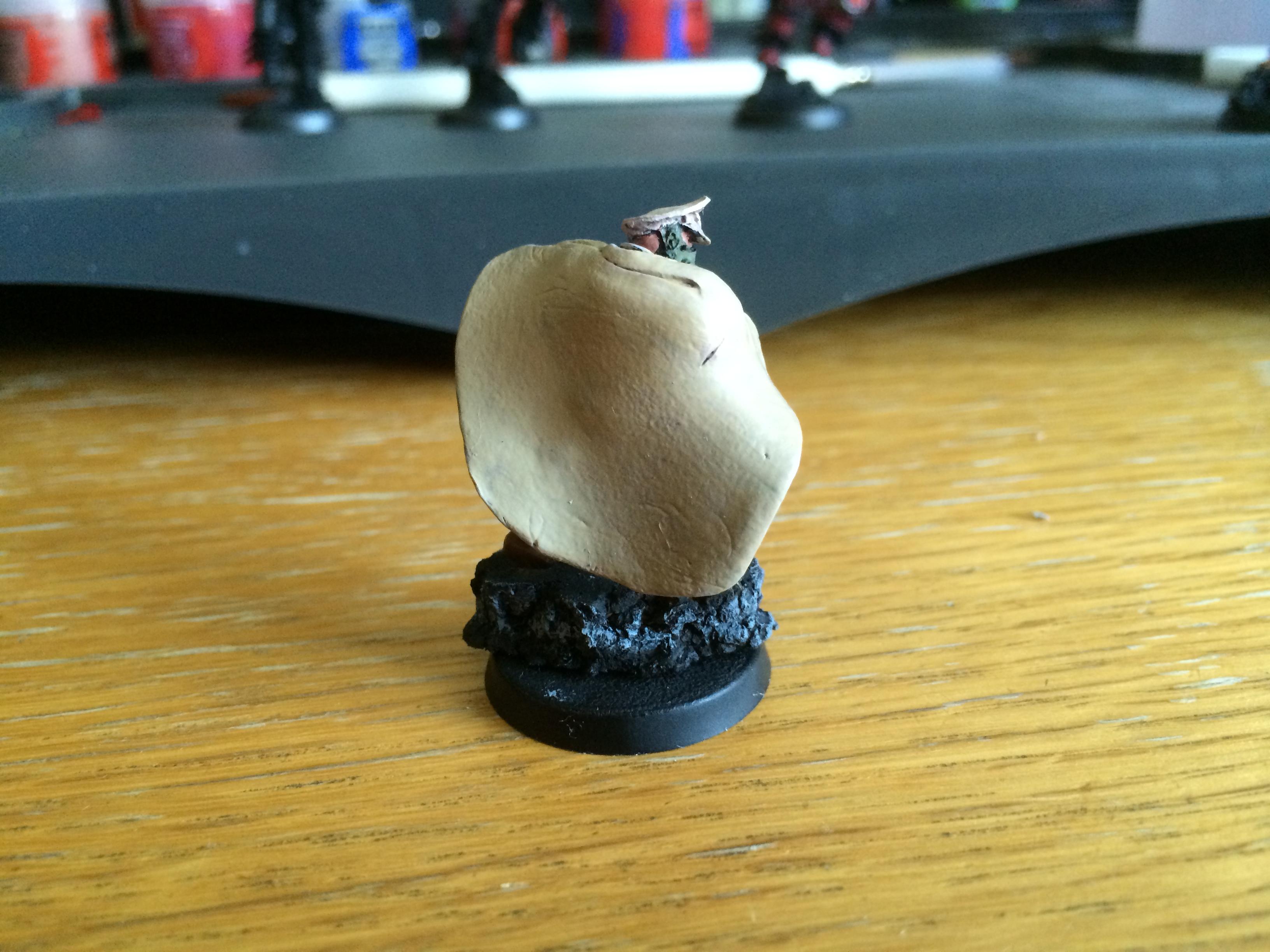 Cadian Officer In Combat Cloak View