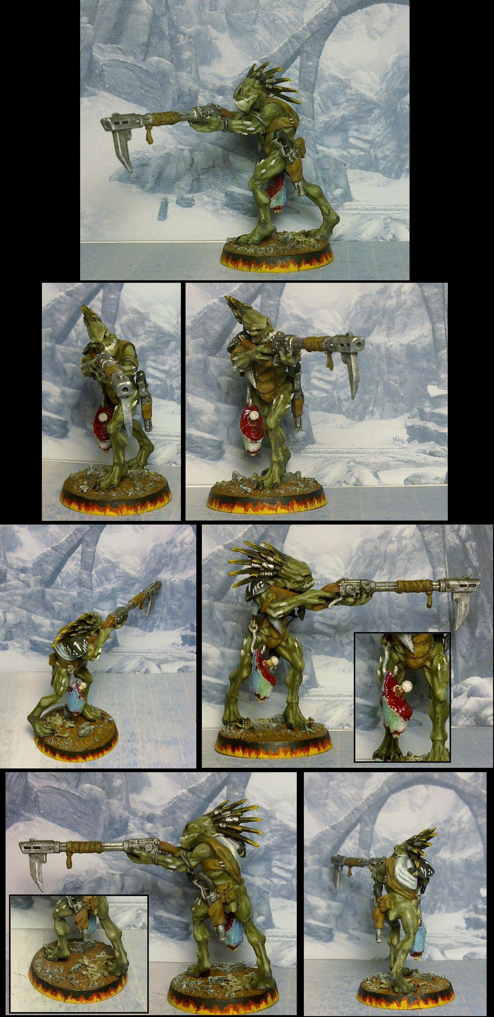 Kroot, Tau, Warhammer 40,000