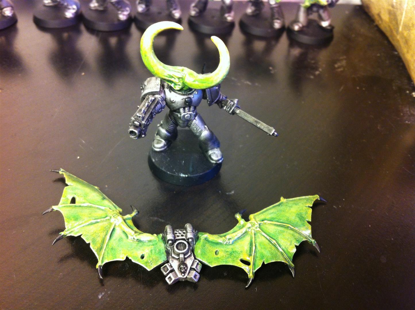 Raptor pack leader & his wings. 