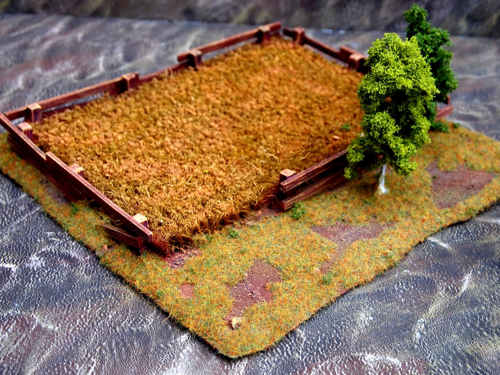 grainfield