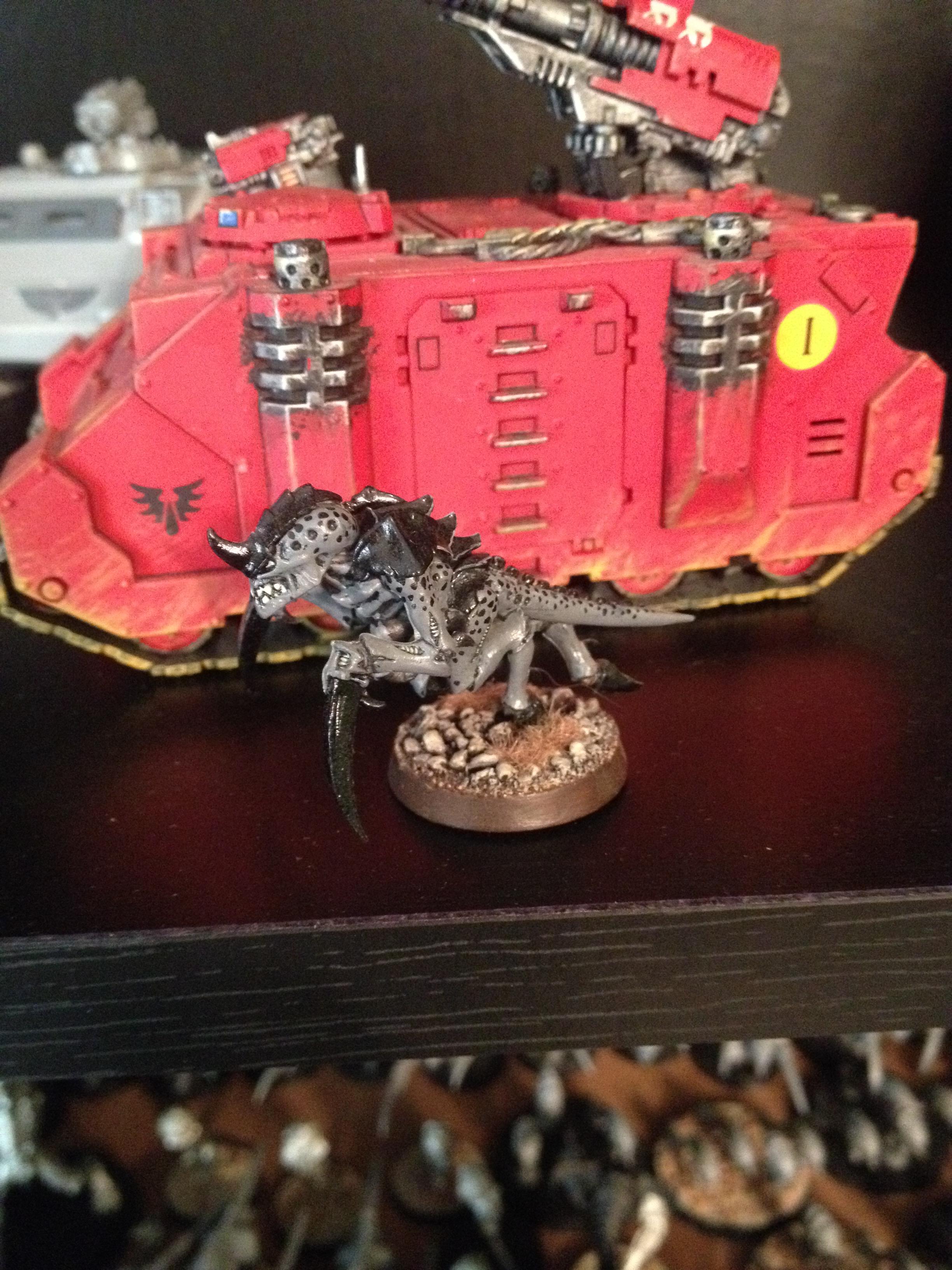 Nids