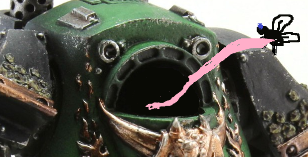 Contemptor frog