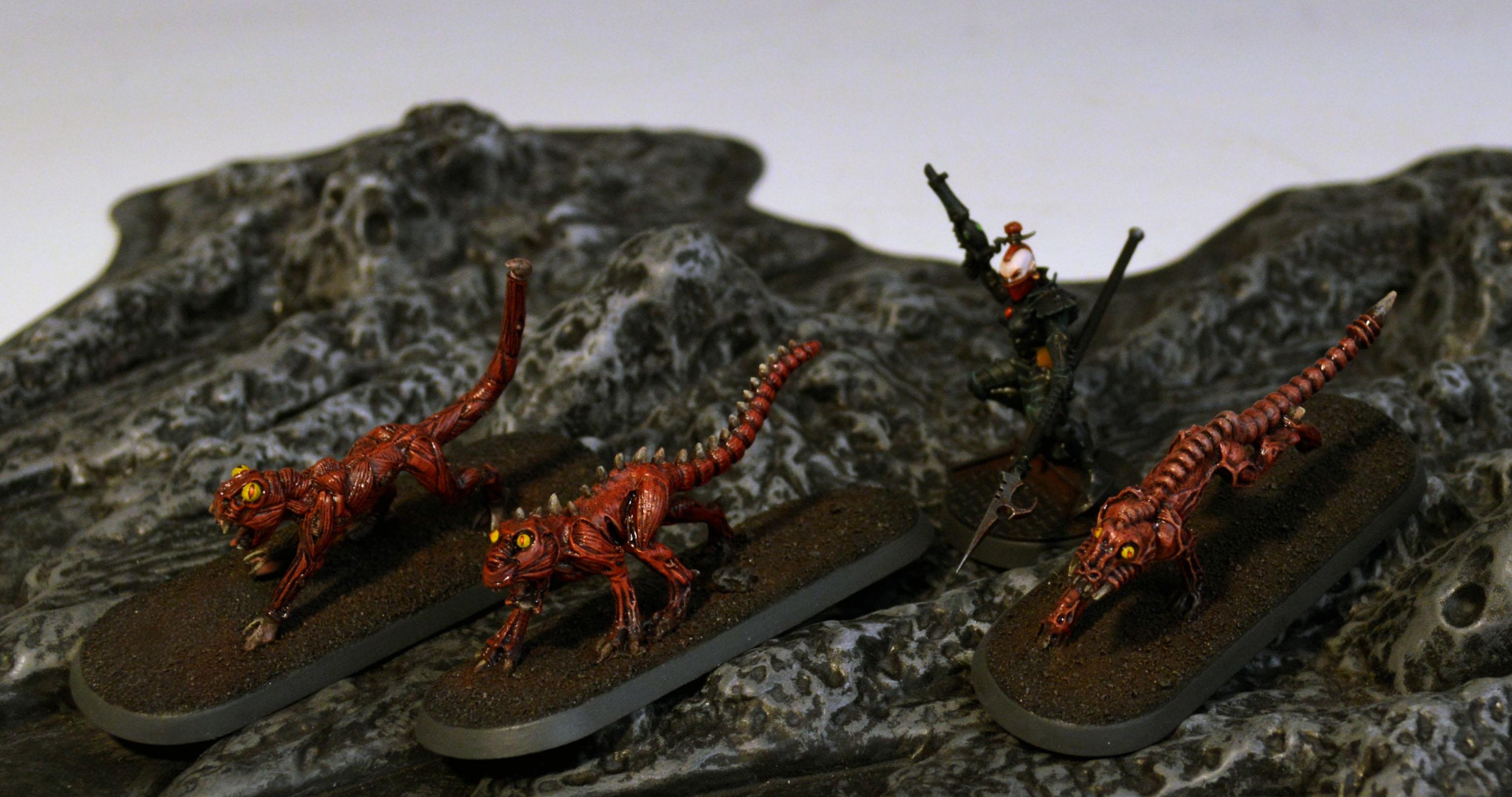 Beastmaster, Warpbeasts