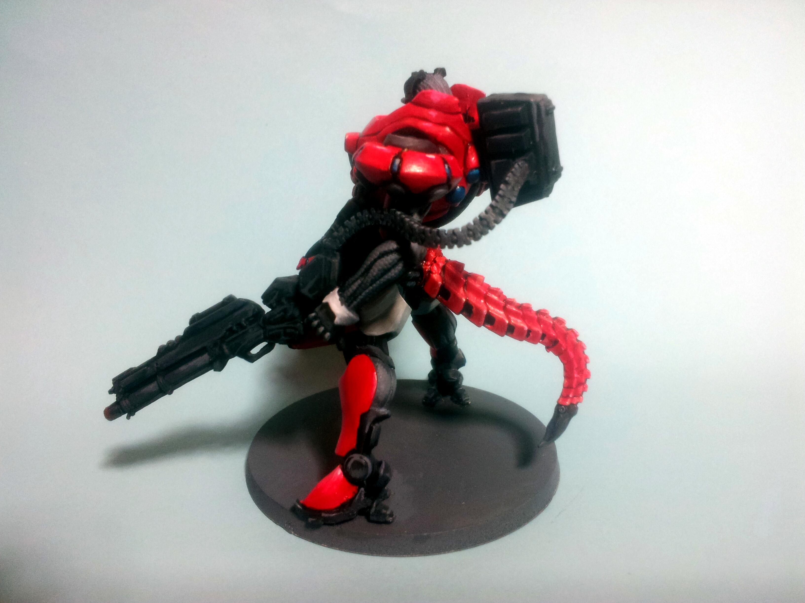Iguana, Infinity, Nomads, Tag