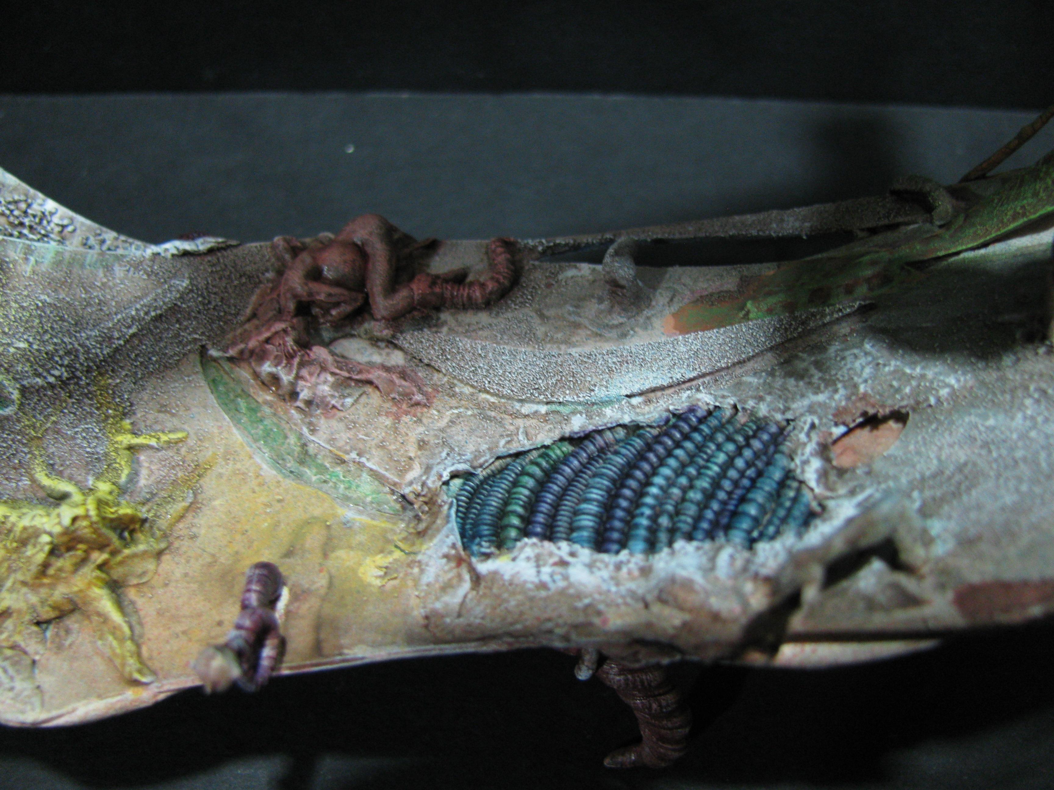 Chaos, Competition, Conversion, Scratch, Terrain