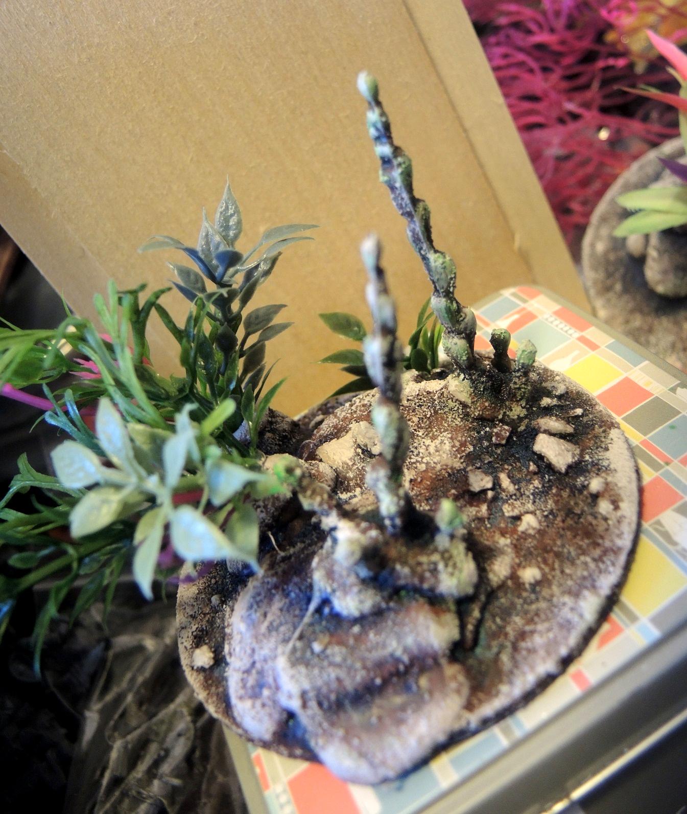 Commissions, Hotglue, Terrain, Waaazag, Work In Progress
