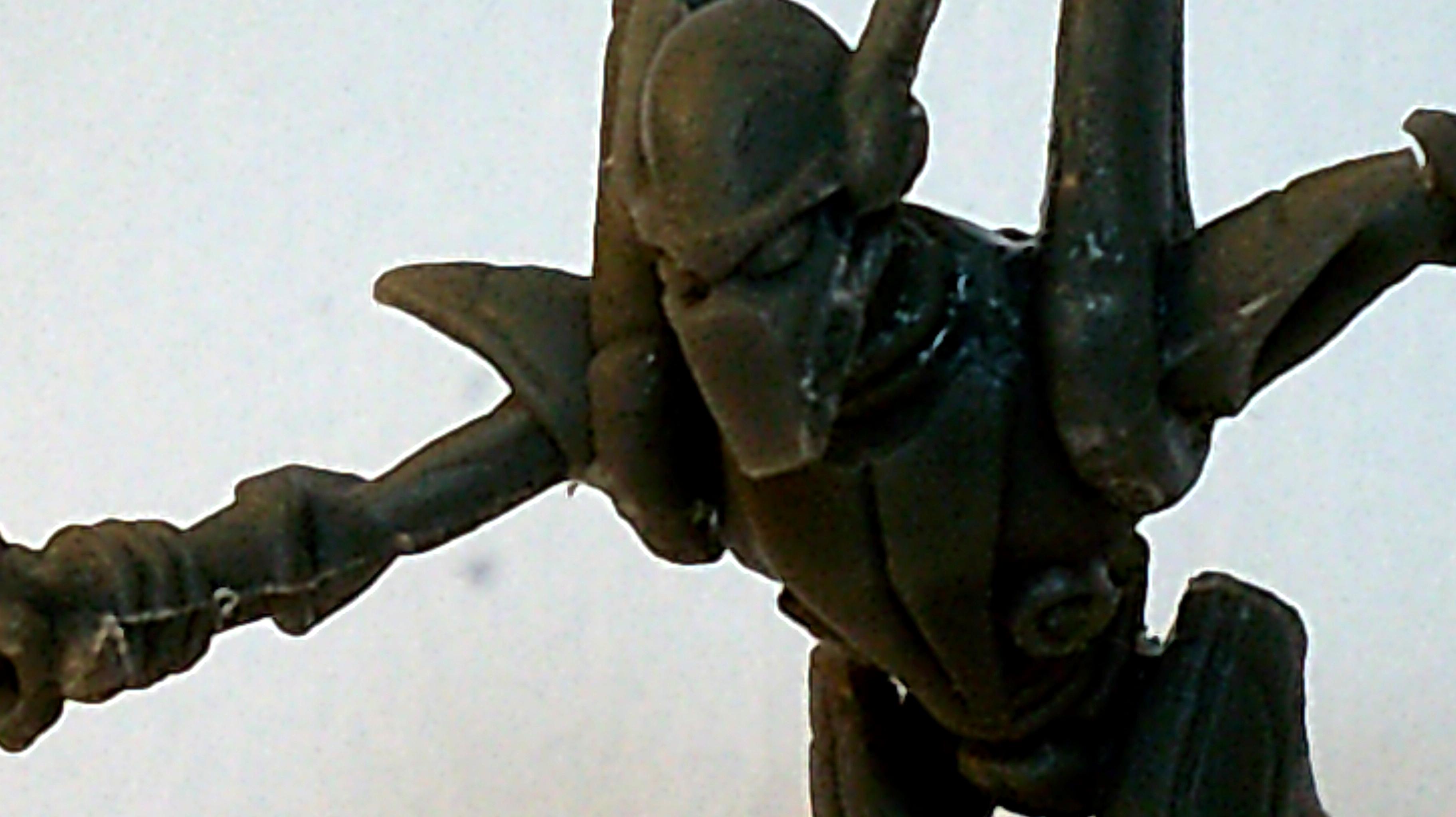 Asterian-3