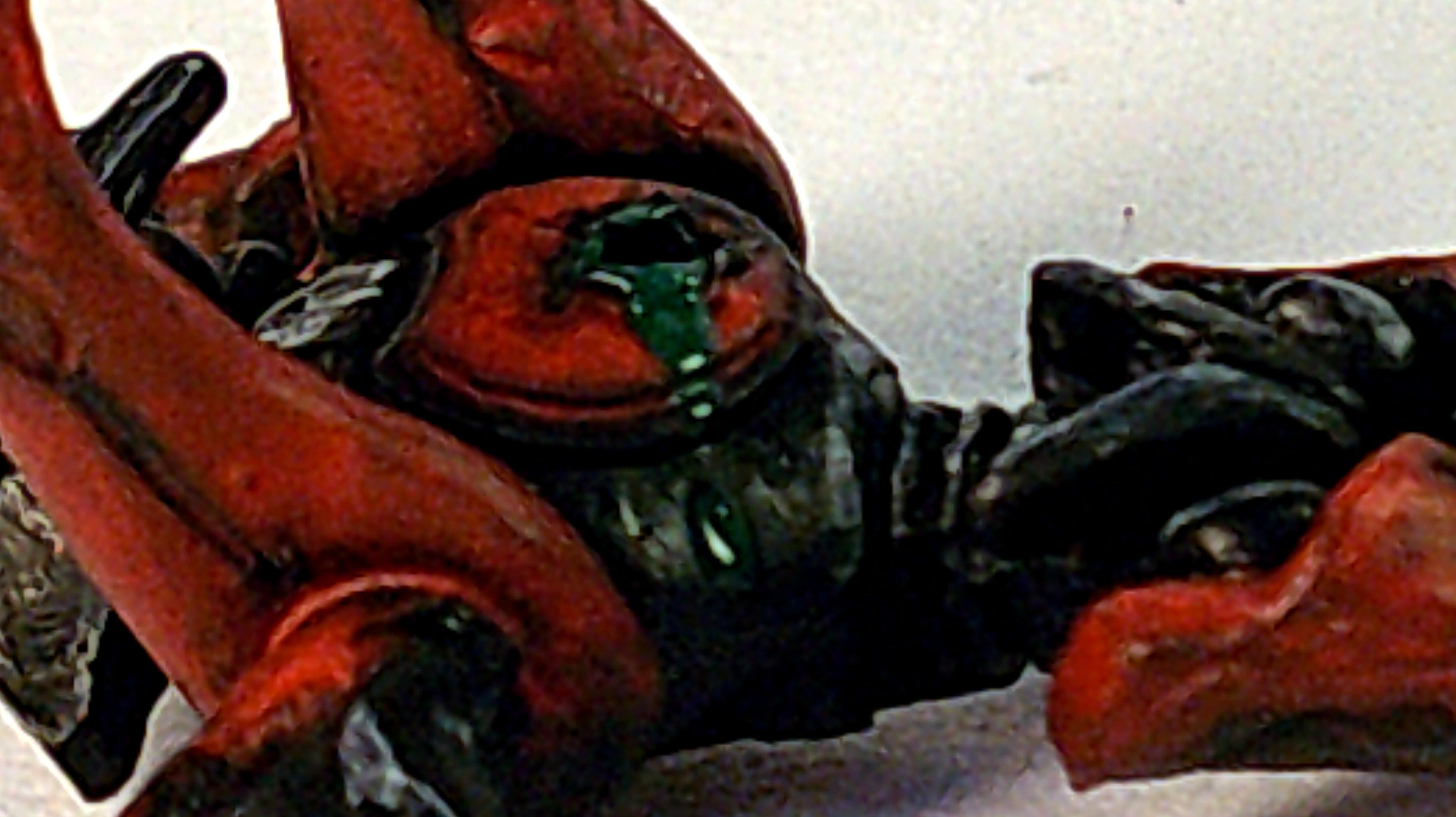 Asterian Goo-1