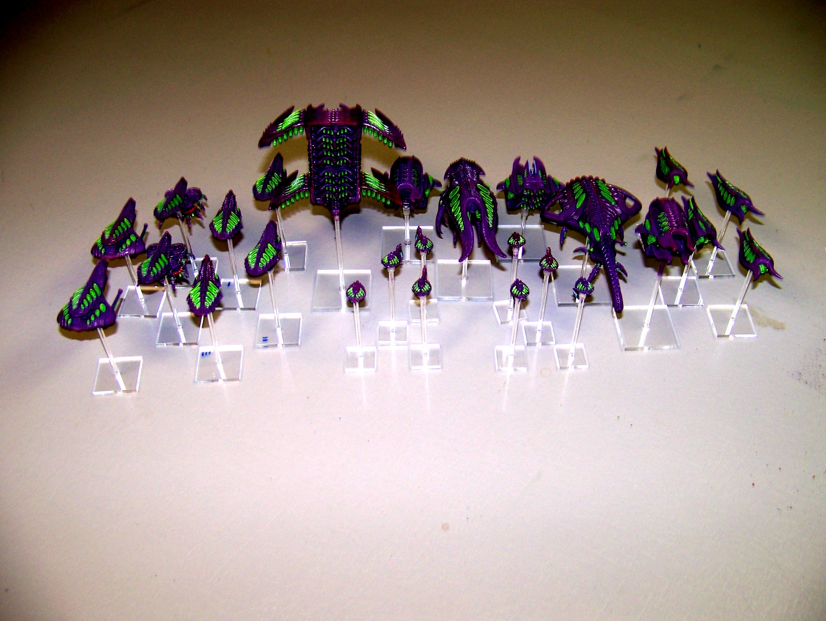 SCOURGE