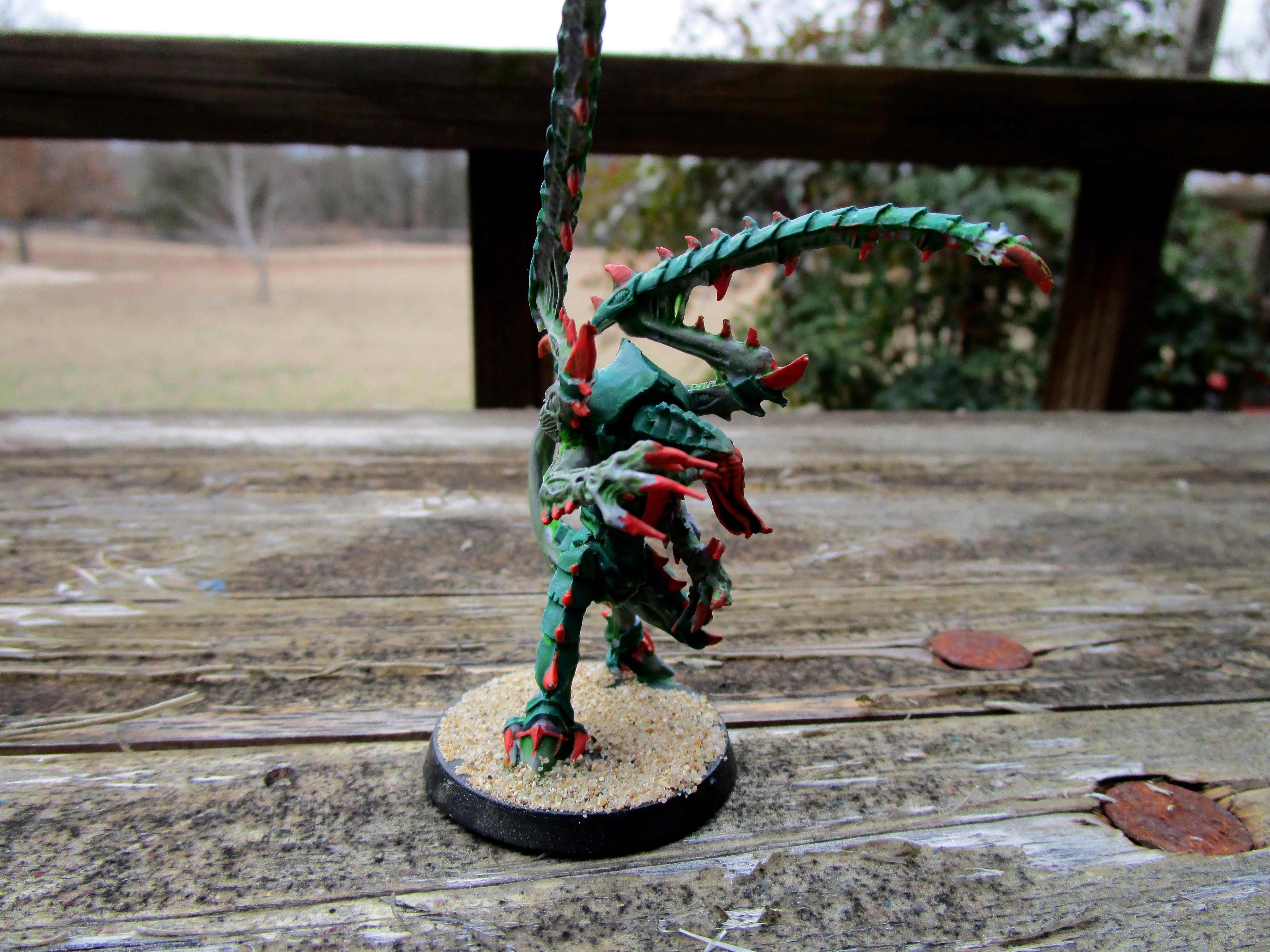 Lictor