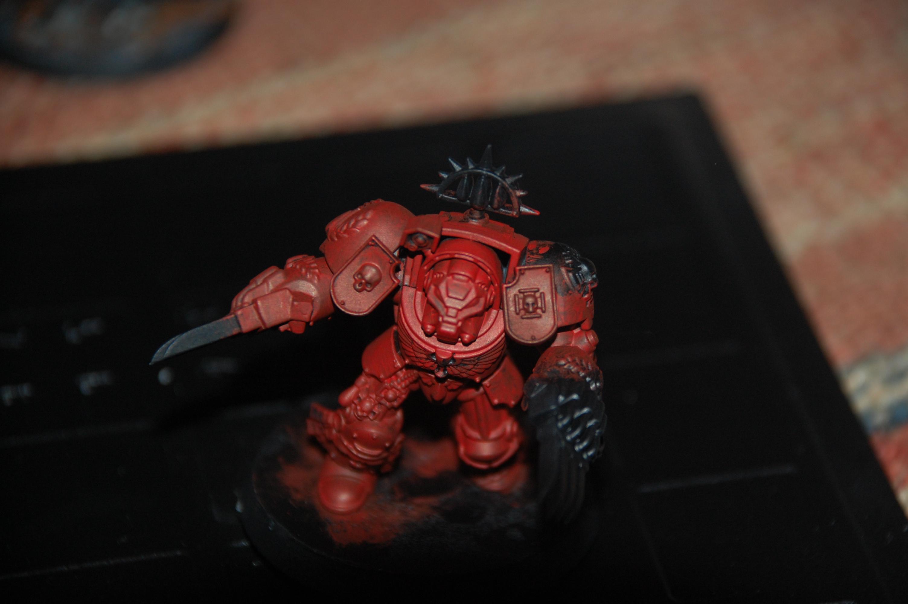 Pictures of the last to termies getting their red coats on :D
