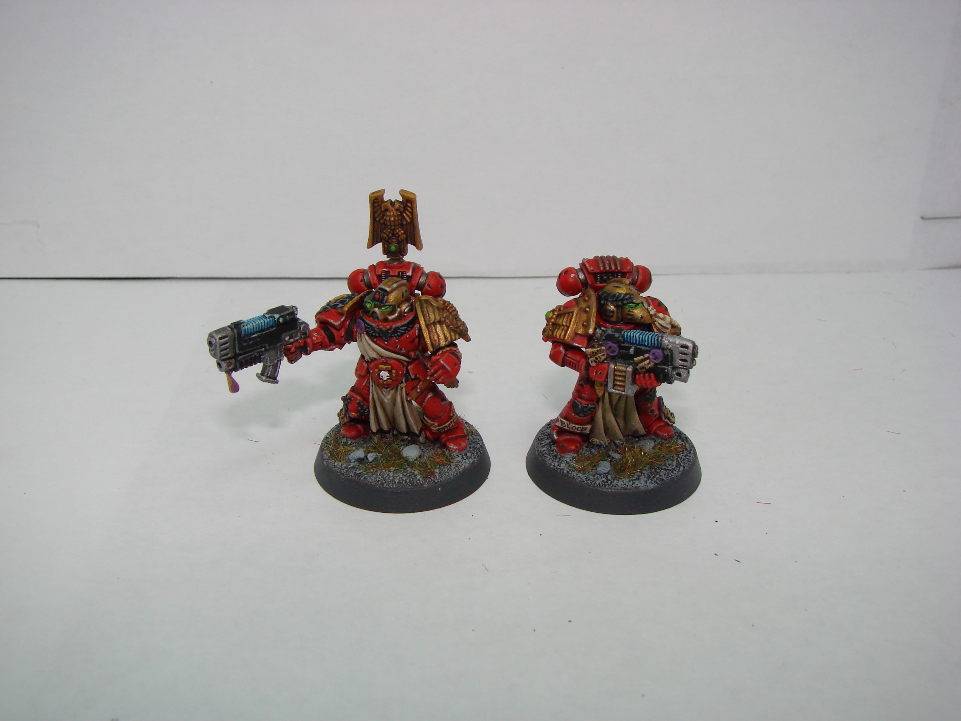 Sternguard Vets with combi-plasma