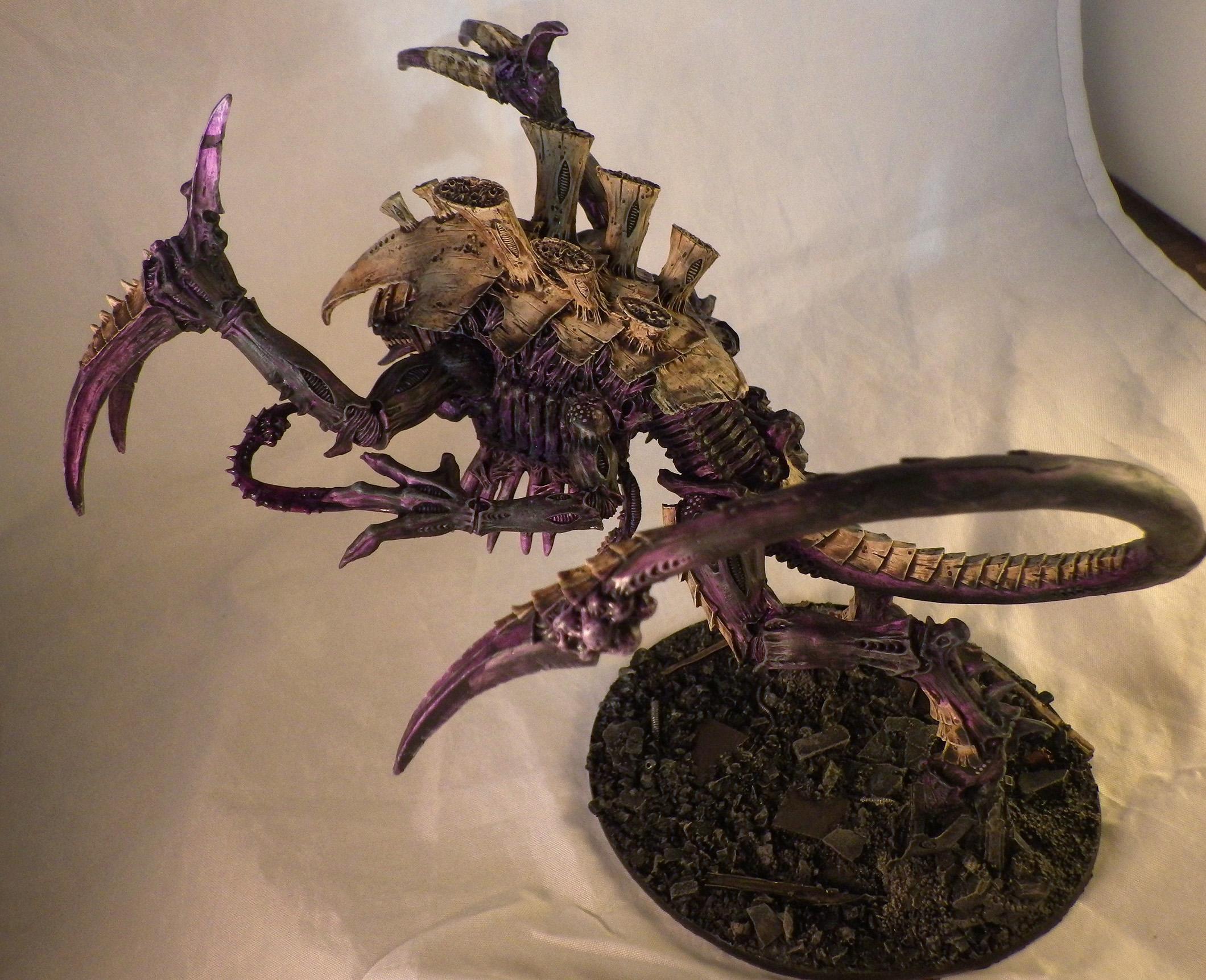 Dimachaeron