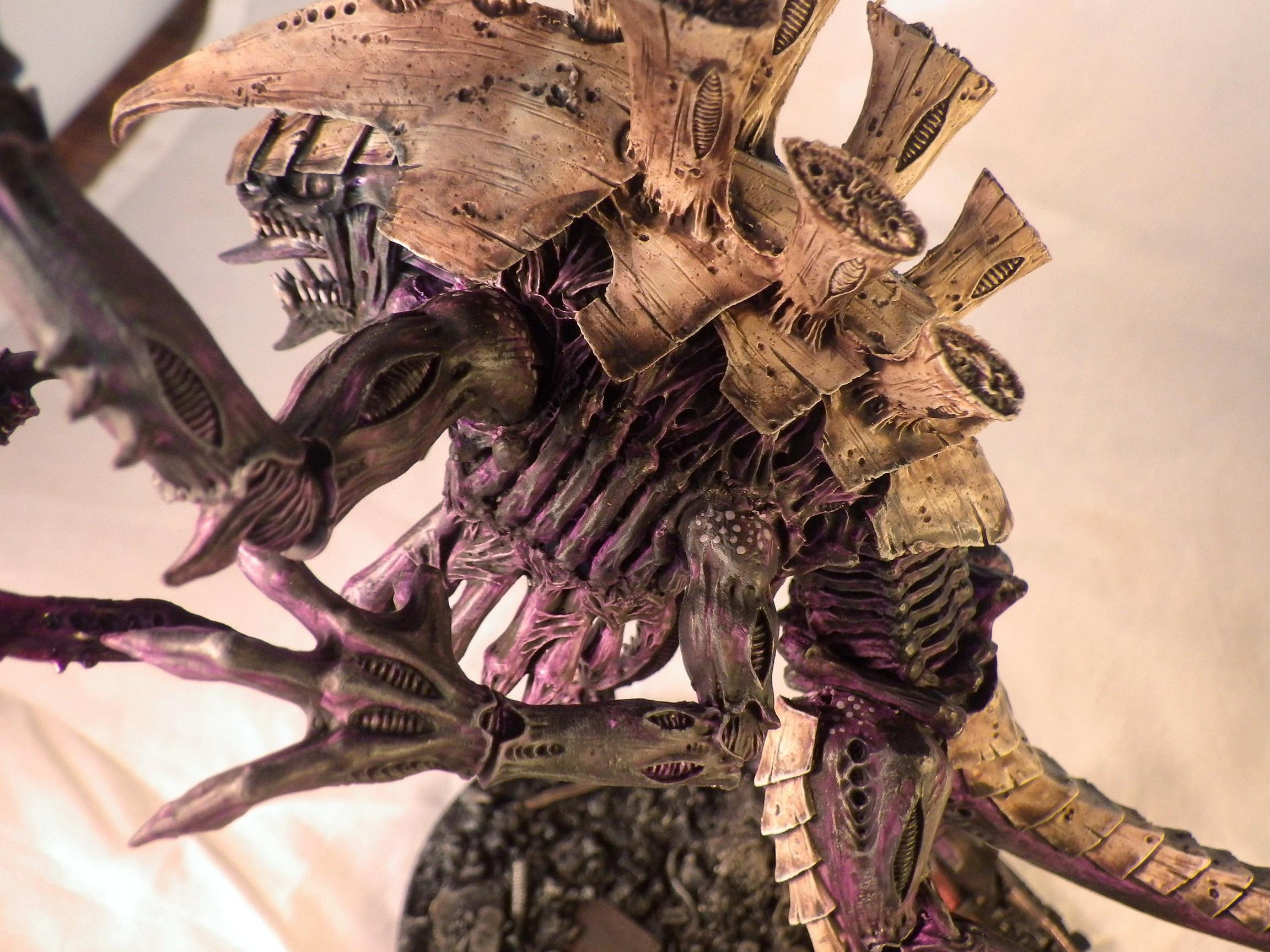 Dimachaeron, Tyranids, Tyrnids