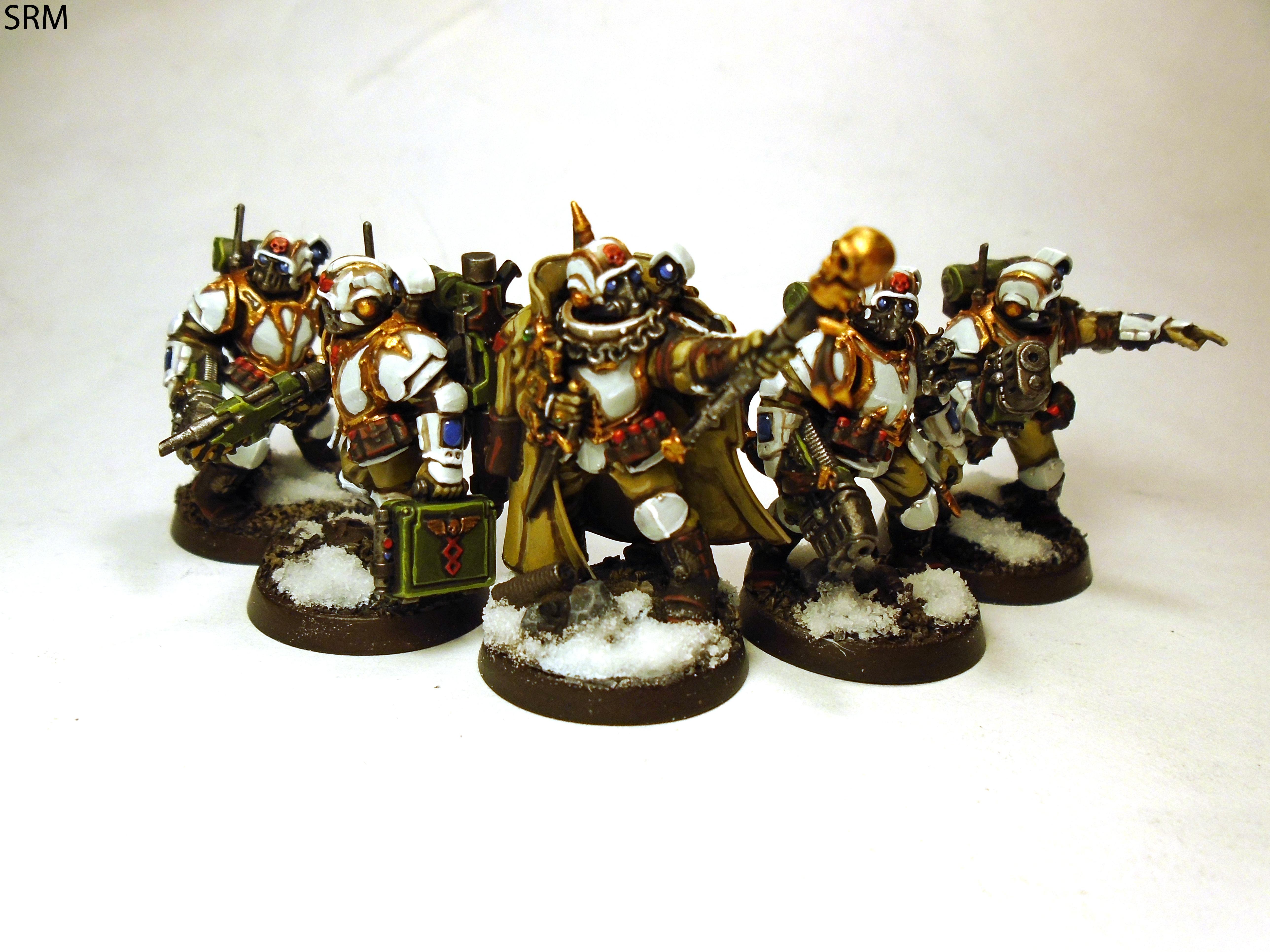 Tempestus Scions, Valhallans