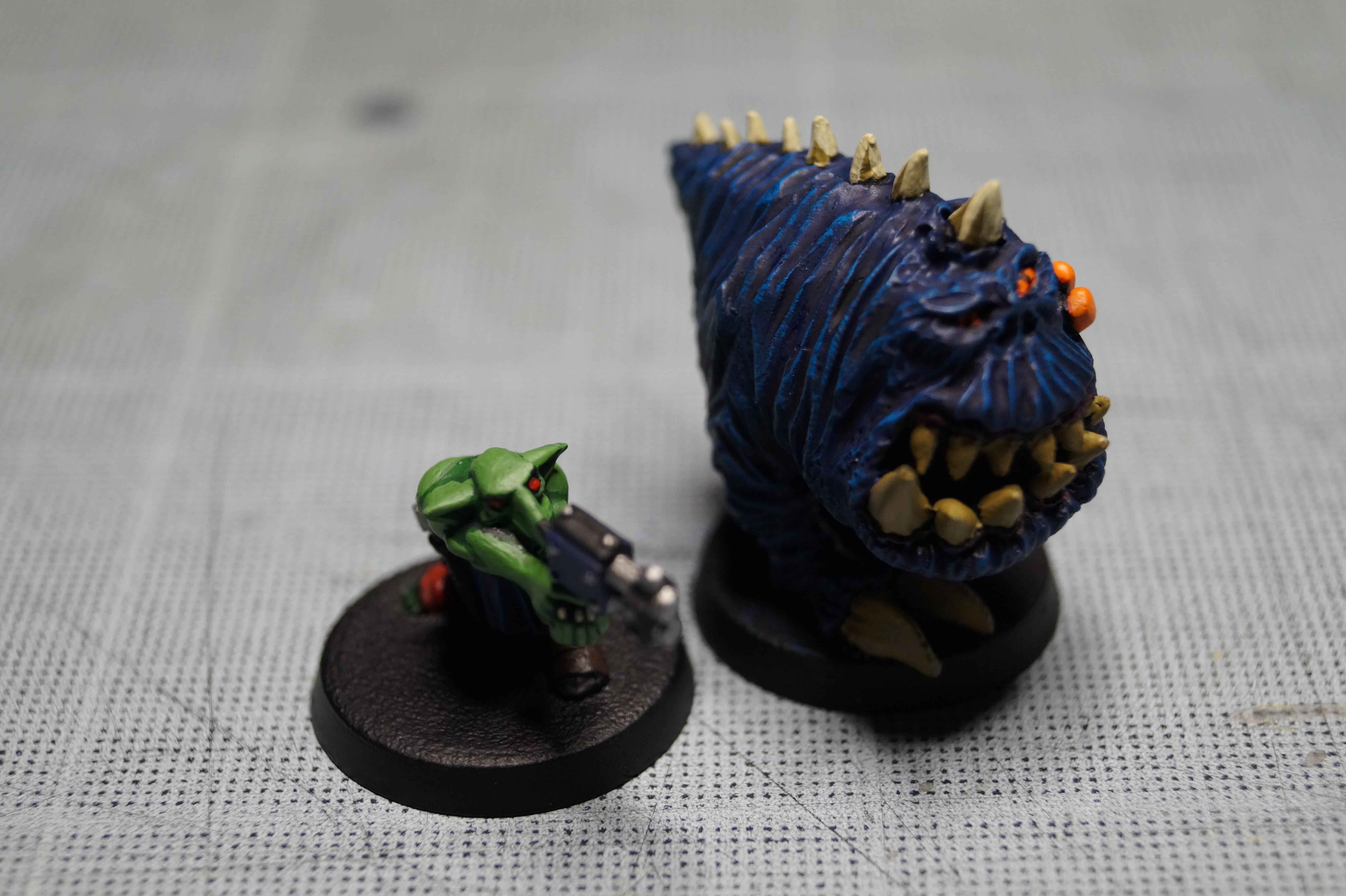 Gnaw, Gretchin, Orks, Ruff Ridaz, Squigs