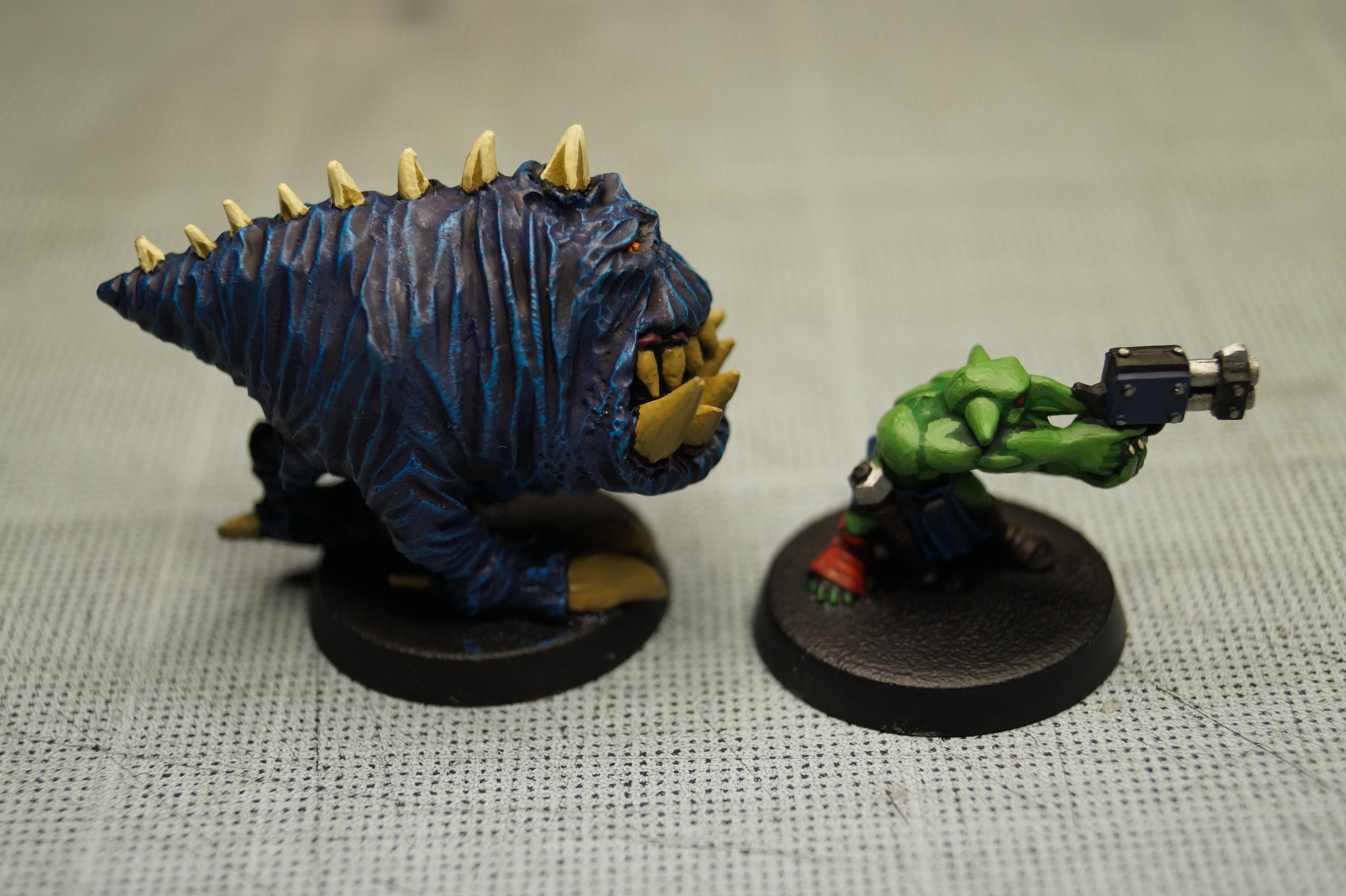 Gnaw, Gretchin, Orks, Ruff Ridaz, Squigs