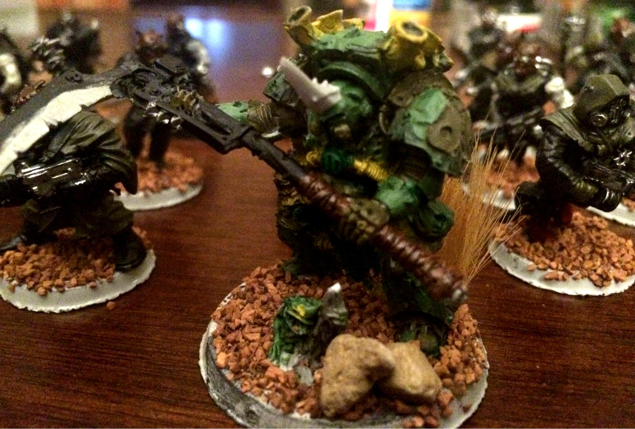 Typhus