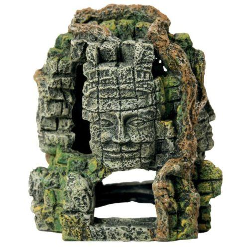 Angkor Wat, Aquarium, Temple, Terrain