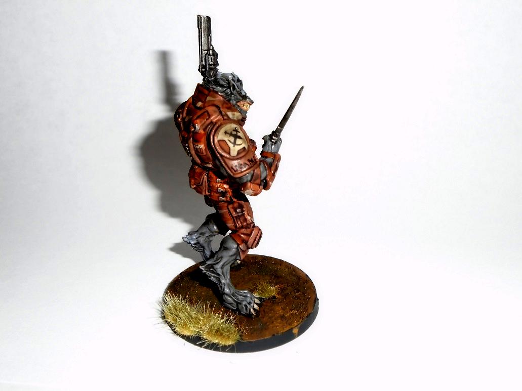 Ariadna, Devil Dog, Infinity, Usariadna