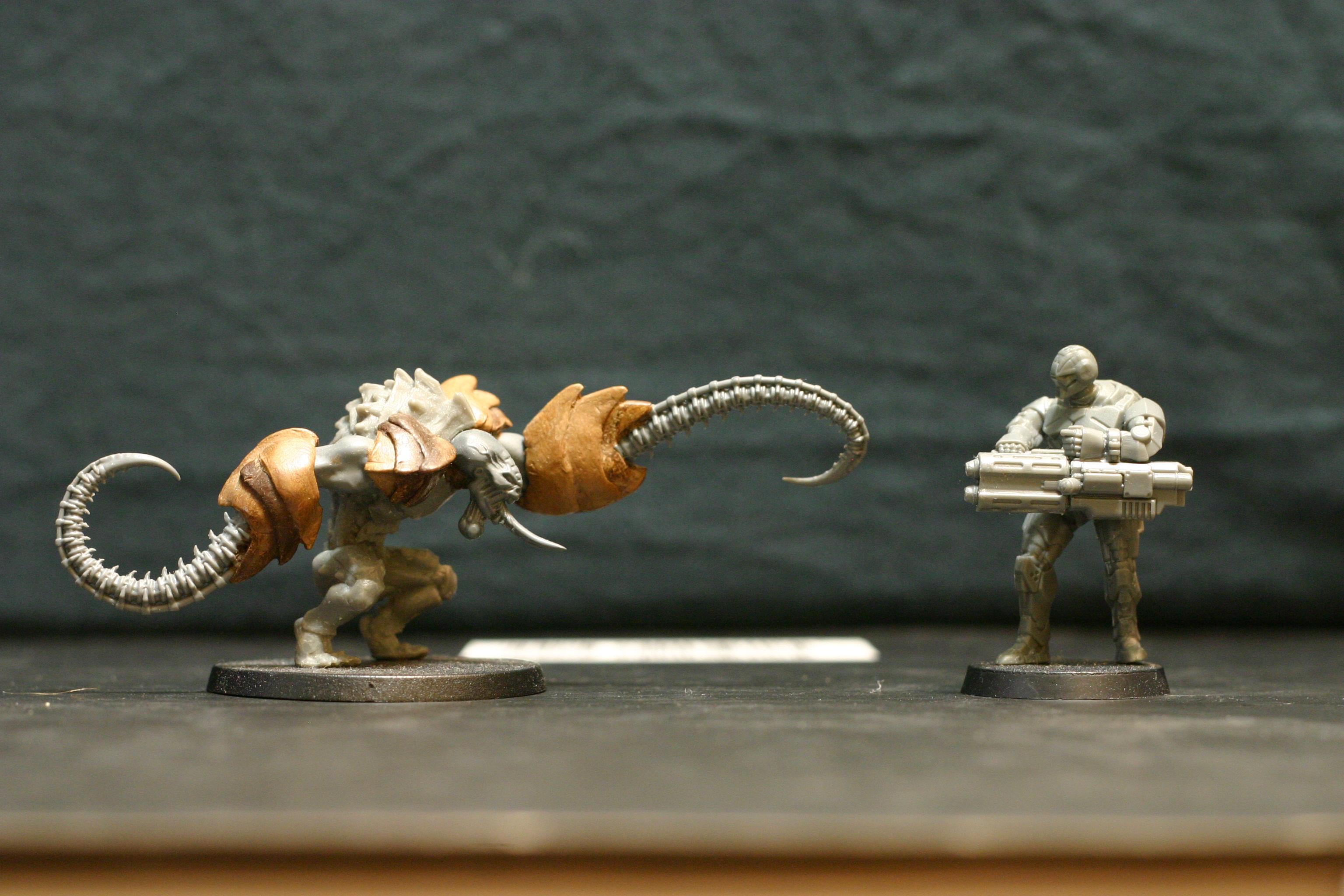 2nd Gen, Conversion, Enforcers, Mantic, Plague