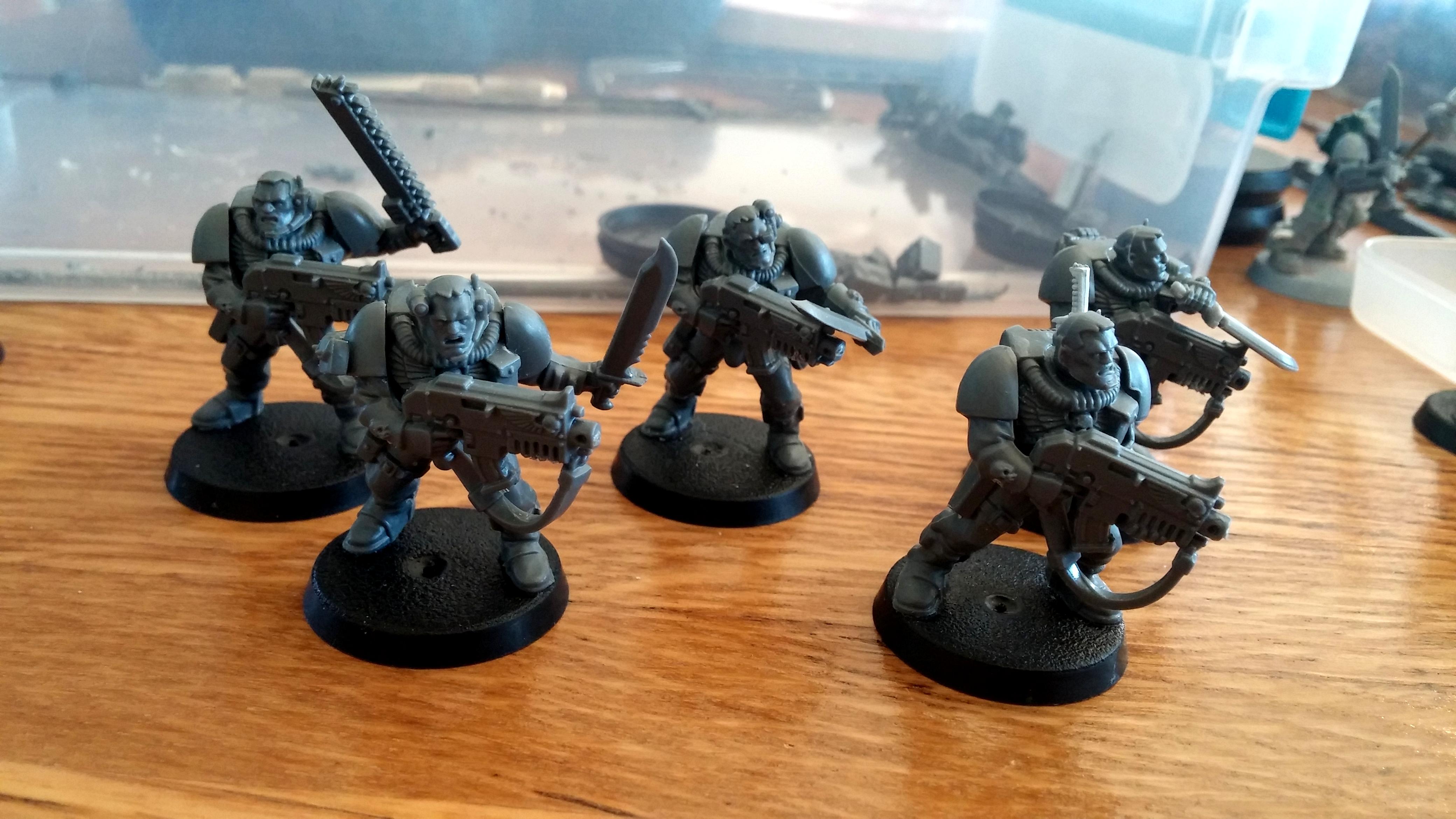 Scouts, bolter scouts