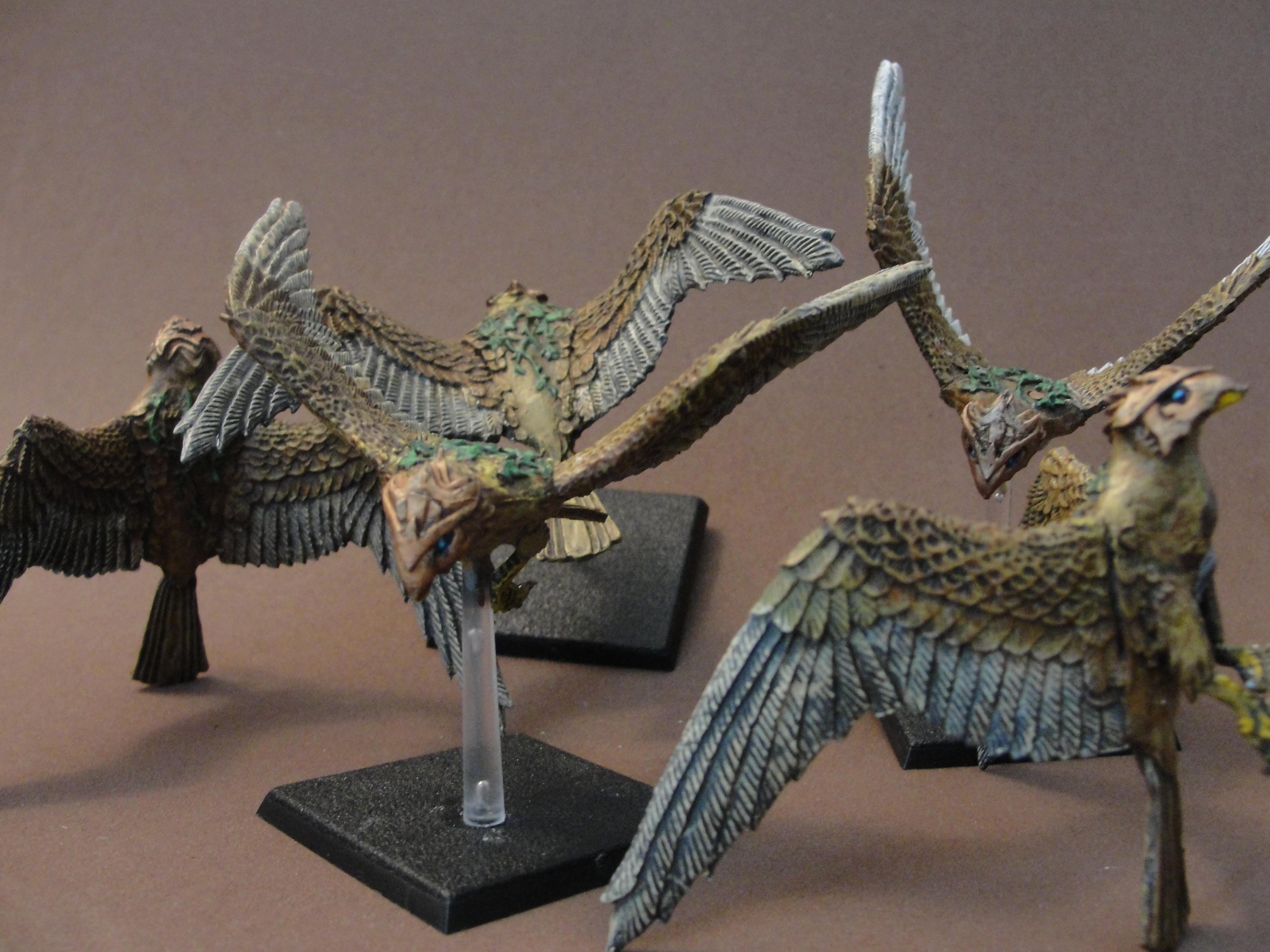 Warhawk