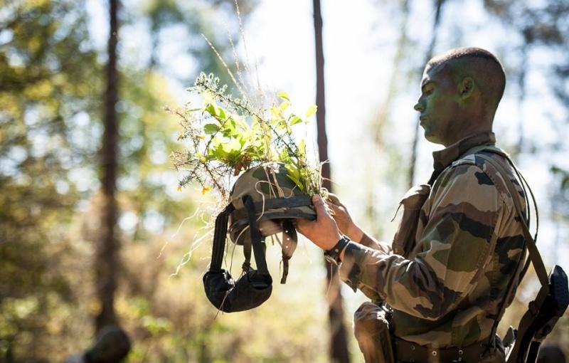 Helmet with greenery