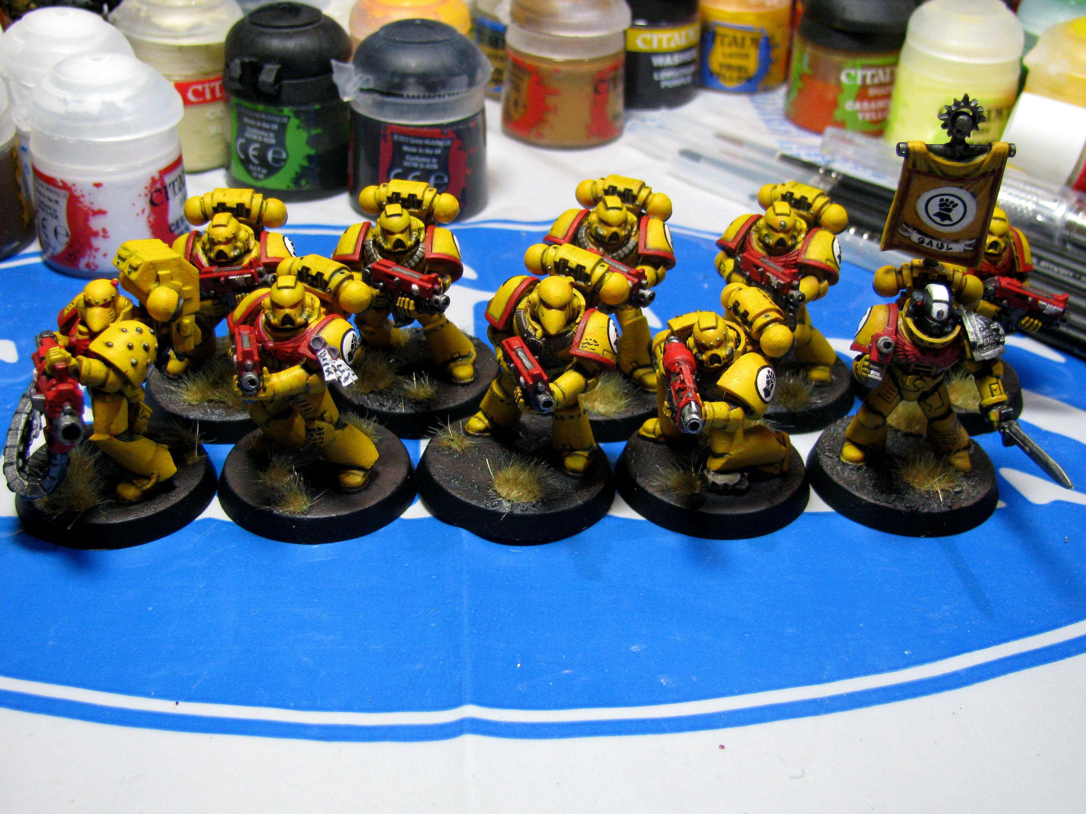 Fist, Imperial, Imperial Fists, Tac Squad, Tactical Space Marines
