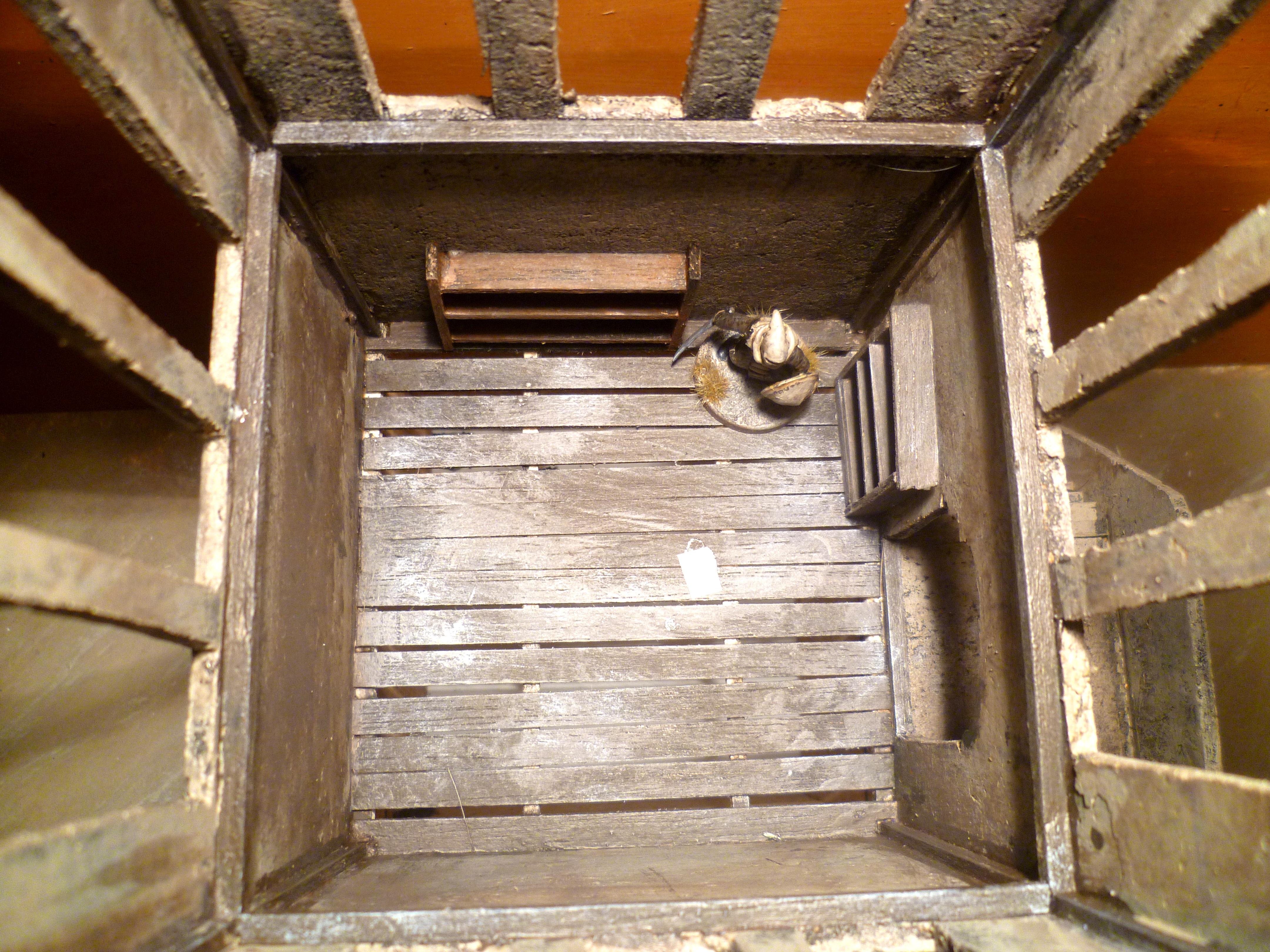 Hlaalu Guard Tower