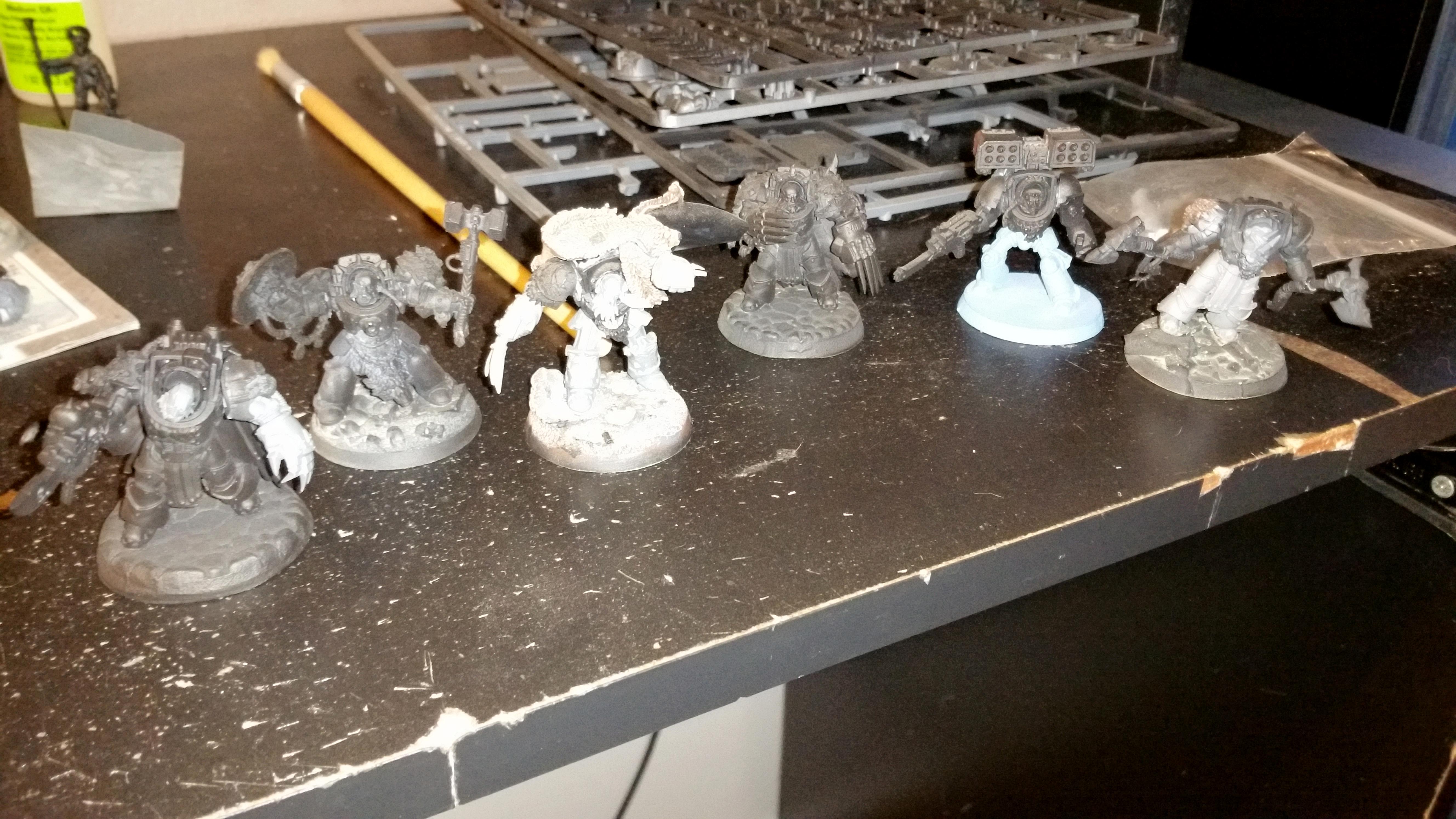 Space Wolves, Terminator Armor, Vlka Fenryka, Wolf Guard