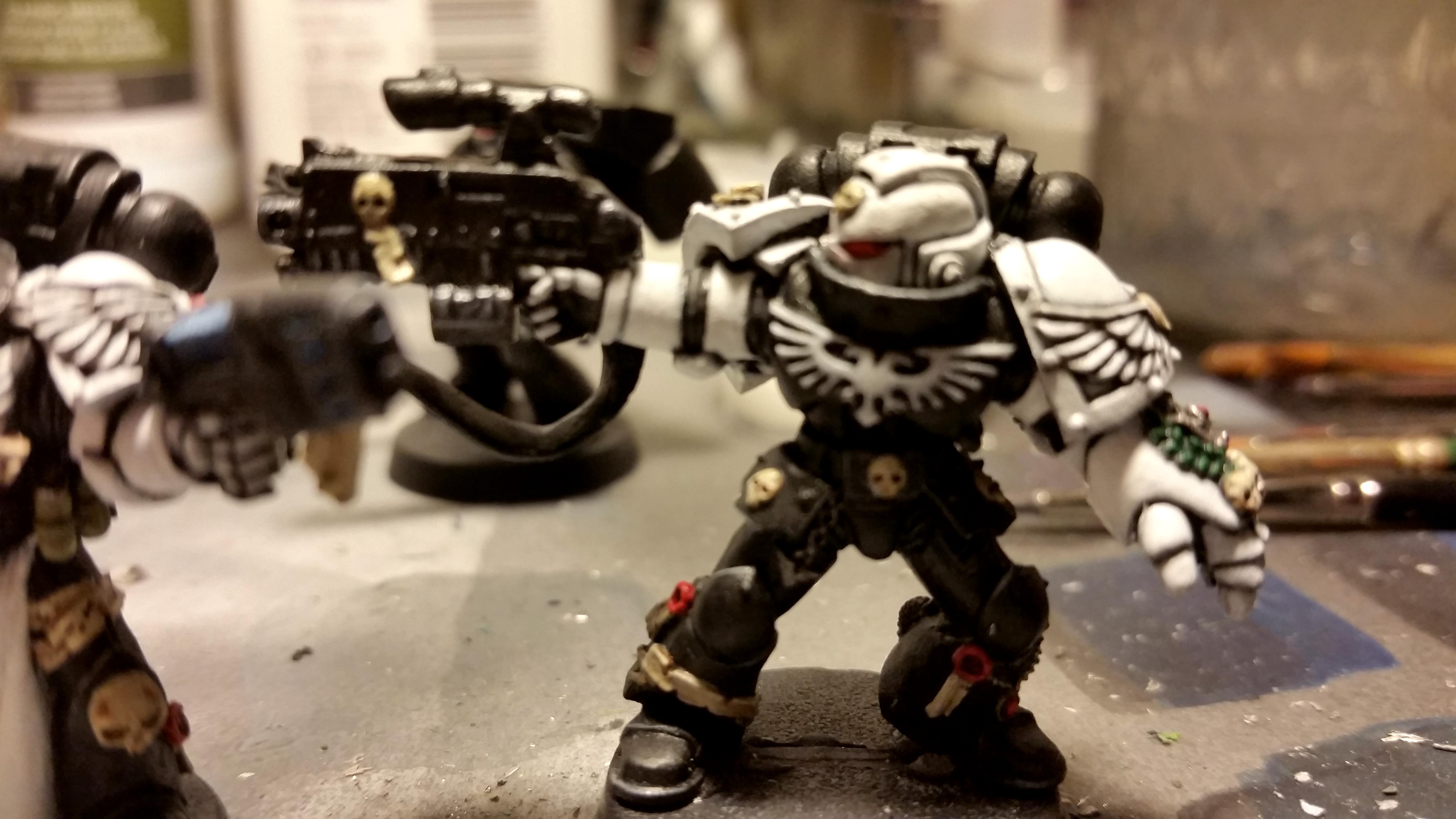 Second Raven Guard Sternguard