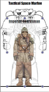 scale i'm working with. 