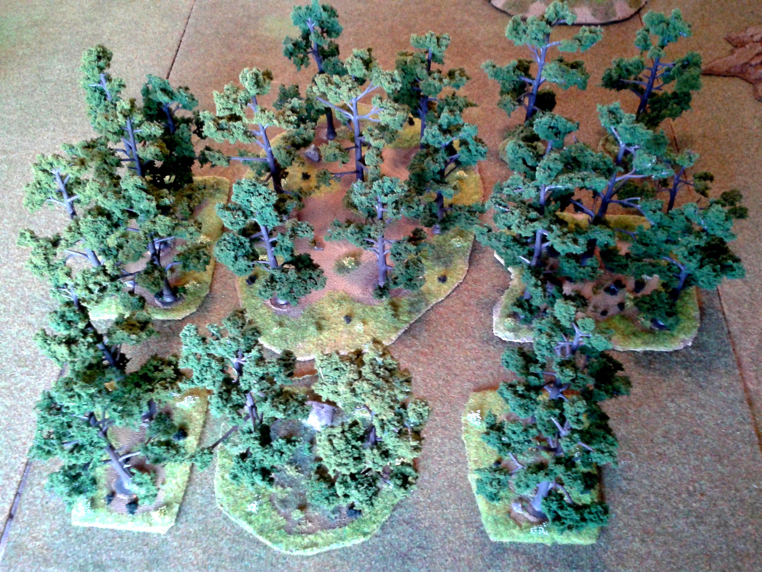 Terrain